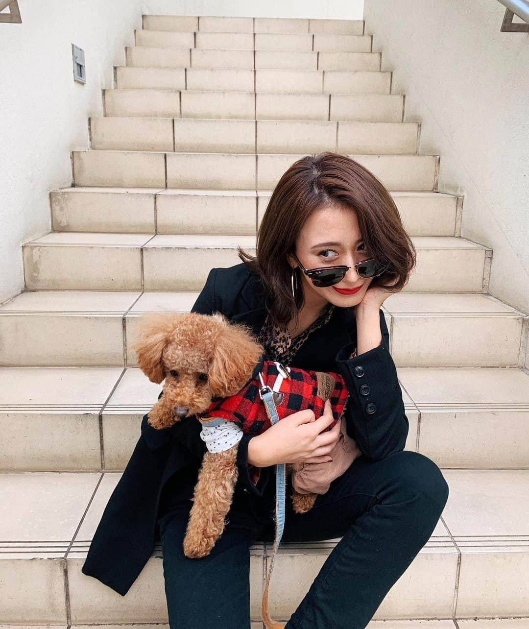 照井和希さんのインスタグラム写真 - (照井和希Instagram)「My boy ❤︎❤︎❤︎ ． ． ． ． ． #ootd #outfit #fashion #autumnfashion #code #black #omotesando #japan #mydog #love #tokyo #表参道 #原宿 #秋服 #hm #zara #azulbymoussy #sly #moussy #envym #emoda #forever21 #gyda #cuteanimals #愛犬#トイプードル#表参道カフェ #トイプードルカット #愛犬との日々」10月17日 17時44分 - kazu24ki