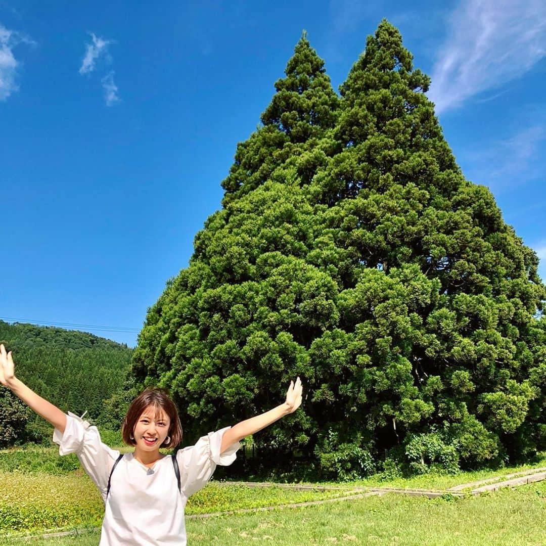 西村まどかさんのインスタグラム写真 - (西村まどかInstagram)「去年OAされた愛知県豊橋市での #昼めし旅 が、明日10/18(金)に 再放送があるそうです☻ミテネ ㅤㅤㅤㅤㅤㅤㅤㅤㅤㅤㅤㅤㅤ 先日の、山形県編の思い出🚃🔆 見てくださった方ありがとうございます！ ㅤㅤㅤㅤㅤㅤㅤㅤㅤㅤㅤㅤㅤ #トトロの木 こと #小杉の大杉 すっごいトトロやった！！！ ㅤㅤㅤㅤㅤㅤㅤㅤㅤㅤㅤㅤㅤ #十八歳 という地名の街も 面白かったなぁ〜！ ㅤㅤㅤㅤㅤㅤㅤㅤㅤㅤㅤㅤㅤ はじめて食べた #ほおずき が 美味しすぎて感動しました🍊 ㅤㅤㅤㅤㅤㅤㅤㅤㅤㅤㅤㅤㅤ 昼めし旅 @hirumeshitabi  本当にアポ無し旅で大変やけど😂 毎回、人のあたたかさを 身にしみて感じる事が出来て いつもロケ終わったあとは、 歩き回った疲労感とともに あったかい幸せな気持ちになる☺️ ㅤㅤㅤㅤㅤㅤㅤㅤㅤㅤㅤㅤㅤ 毎週連載させてもらっている、 日々URALA @urala_fukui の #TOKYOBIYORI でも 裏話など載せてるで見にきての‪✌︎」10月17日 18時14分 - madoka_nsmr