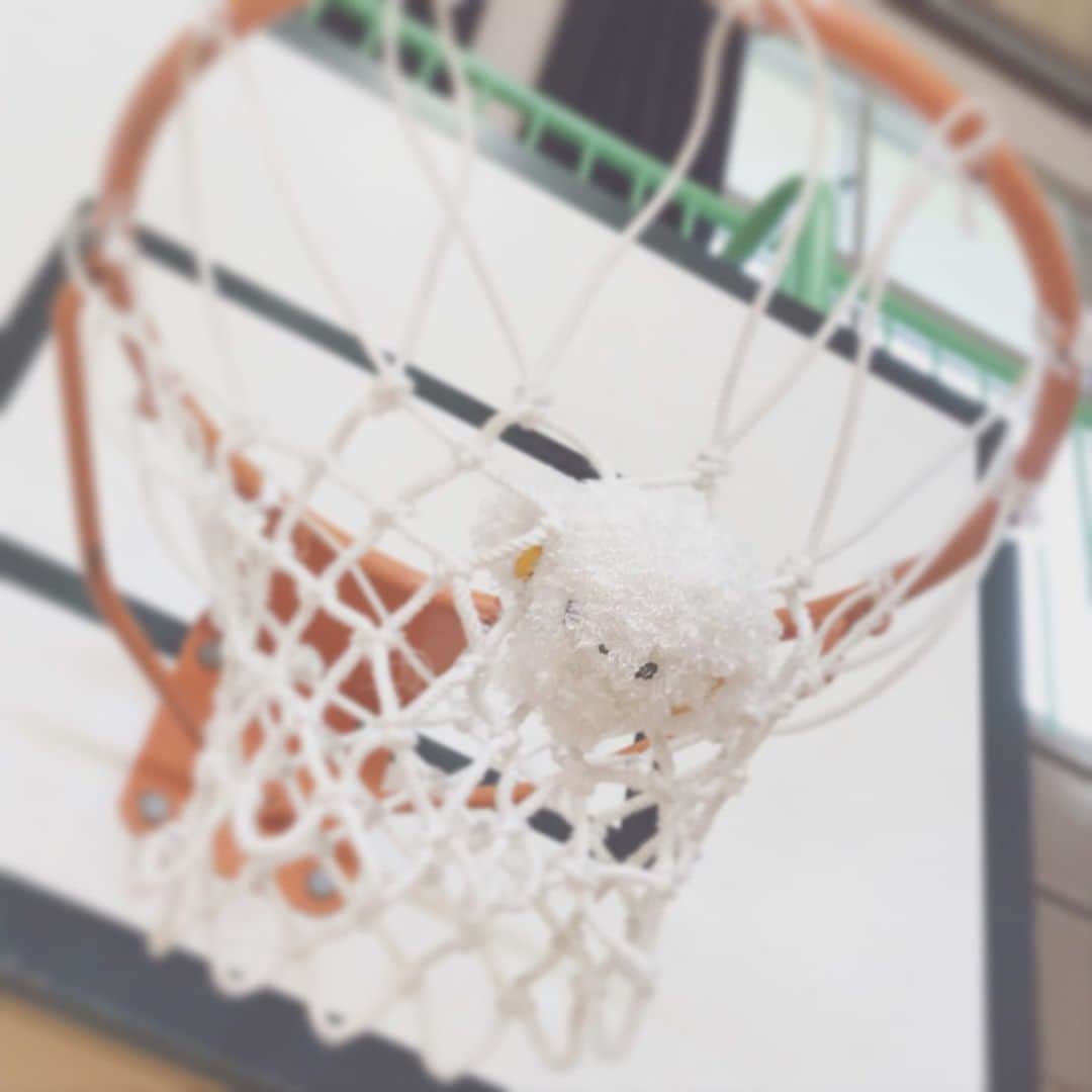 こぎみゅん（サンリオ）のインスタグラム：「. ああみゅん‥ たすけてみゅん‥ #バスケットゴール #バスケ #サンリオ #キャラクター #小麦粉の妖精 #こぎみゅん #儚い #かわいそかわいい #sanrio #character #cogimyun #kawaii」