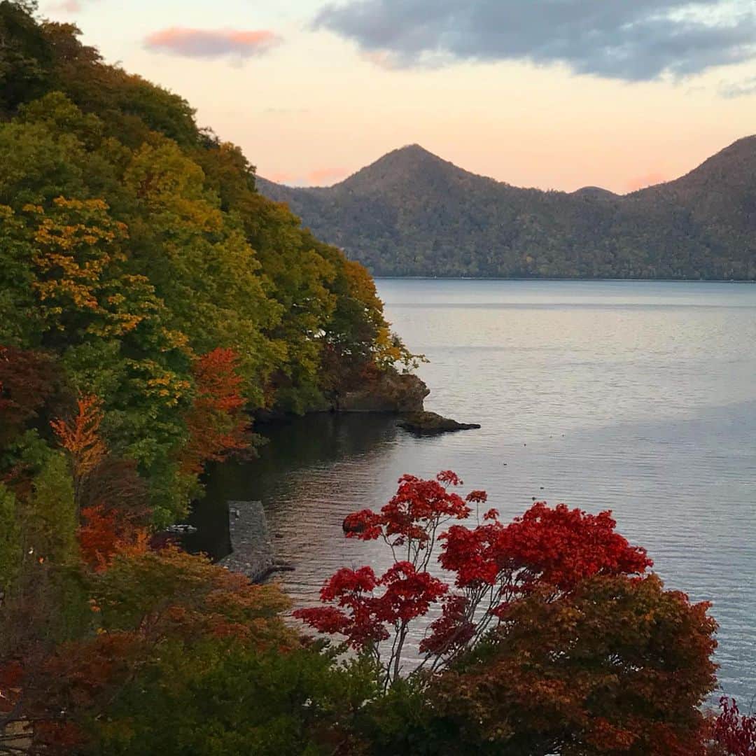ヤマザキマリさんのインスタグラム写真 - (ヤマザキマリInstagram)「Lake Shikotsu in Hokkaido」10月17日 19時09分 - thermariyamazaki