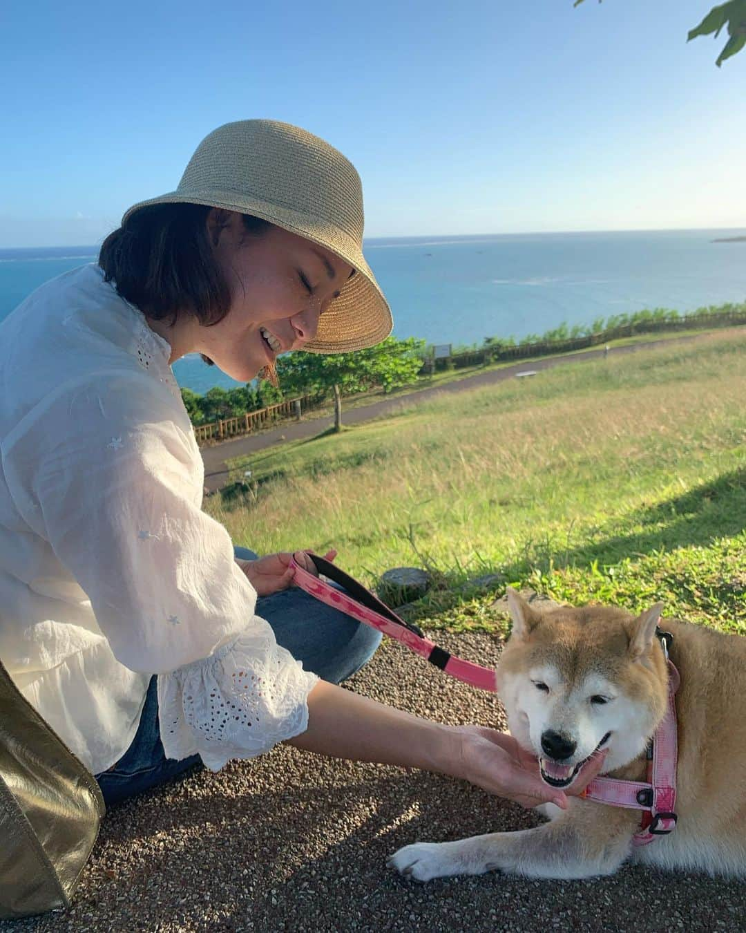 宮城麻里子さんのインスタグラム写真 - (宮城麻里子Instagram)「#まめ丸 #散歩 #柴犬まめ丸  #shiba #shibainu  #shibastagram #shiba_snap」10月17日 19時17分 - miyagimariko