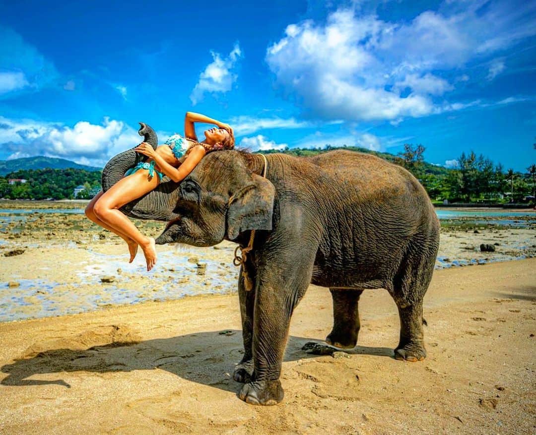 NAHOさんのインスタグラム写真 - (NAHOInstagram)「象さんも笑ってる🐘🌈 . . こんなにもヒョイっっと持ち上げられたの初めてで👀💓 高くて気持ち良かったーっ🥴💕💕 象さん力持ちーっっ💪💋 . . こんなに大好きな動物達にふれあえるなんて🌴 ターザンなった気分🐘❣️❣️🌏 やっぱりなちは自然と動物が大好きだっ♡♡♡ . . love ...🐘💋 . . #cjd_naho #cyberjapan #dancer #phuket #phuketthailand #trip #travel #beach #elephant #elephantbeach #japanesegirl #beautifulsky #nature #サイバージャパン #なち #なちぽん #NAHO #旅行 #なち旅 #自然 #動物 #海 #ビーチ #ビキニ #プーケット #タイ #象さん #綺麗な空 #naturephotography #photography」10月17日 19時18分 - naho25__kai_noa
