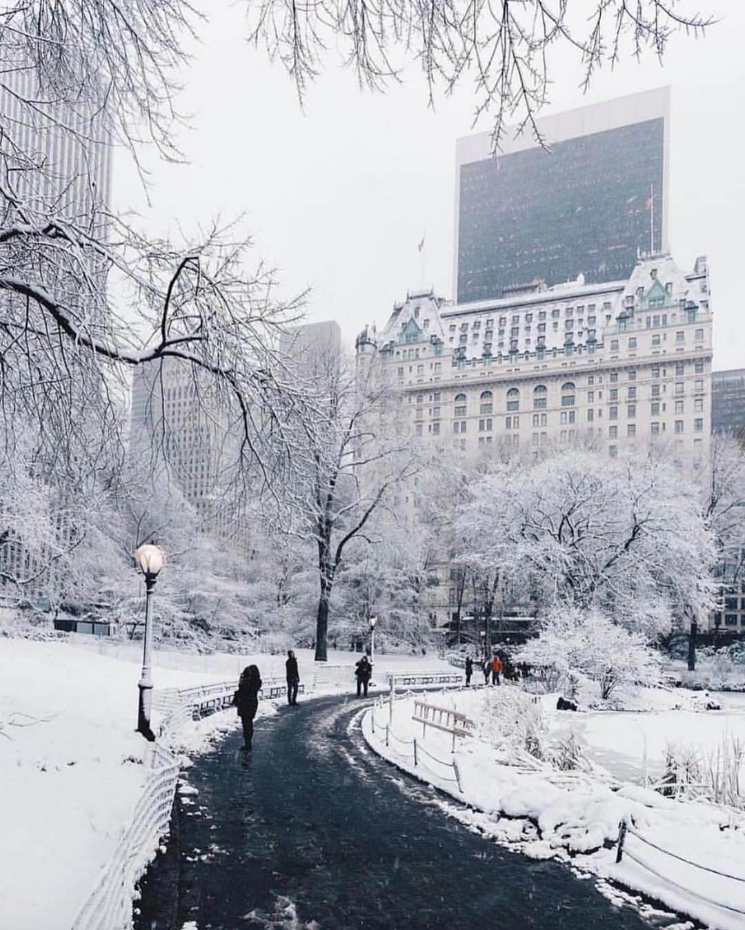 Wonderful Placesさんのインスタグラム写真 - (Wonderful PlacesInstagram)「Snowy day in New York ✨💙💙💙✨ . Pictures by ✨✨@jssilberman✨✨ #wonderful_places for a feature 💙」10月18日 5時56分 - wonderful_places