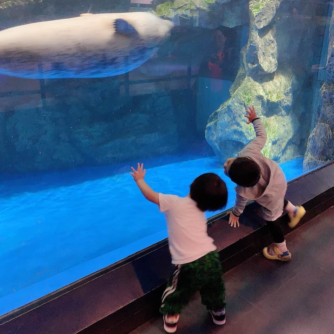 川崎希さんのインスタグラム写真 - (川崎希Instagram)「水族館に来たよ〜💓💓💓 お魚を見てたら香港の4才のコと友達になってるおちびーぬ🥰🥰🥰 英語でお魚のことを説明してくれたよ〜 優しいコに会えてよかったね〜💓💓💓 #水族館 #newfriend」10月17日 21時15分 - kawasakinozomi