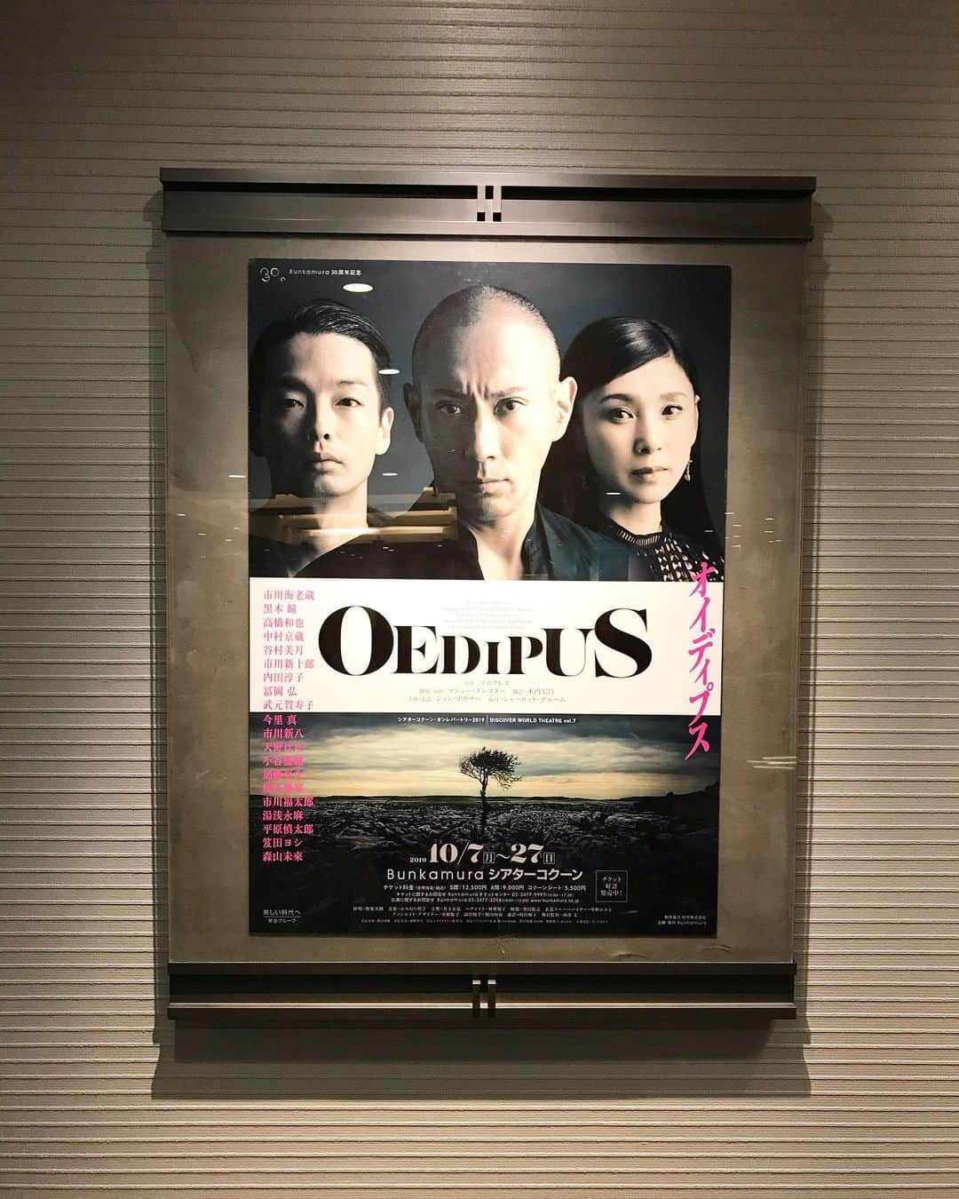 畑中葉子さんのインスタグラム写真 - (畑中葉子Instagram)「演劇『オイディプス 』観劇。 シアターコクーン・渋谷 ・ ・ 何が観たくて芝居に出かけるかと言うと、私はプロの芝居が観たくて劇場に足を運びます。 今日はとても満足して帰ってきました。 今も精神・神経がザワザワしてボーッとほおけております。 演出家はイギリスの方ですが、見事なまでに日本の風刺を織り込んでおられました。 ・ ・ #オイディプス  #演劇 #シアターコクーン」10月17日 21時43分 - hatanaka_yoko