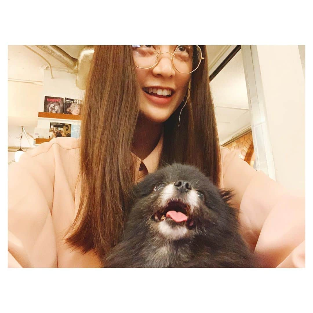 山本美月さんのインスタグラム写真 - (山本美月Instagram)「こつめも一緒におしゃべり。  #kotsume」10月17日 21時55分 - mizuki_yamamoto_official