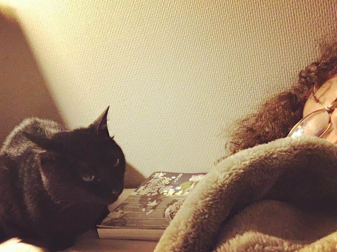 のインスタグラム：「さすがに猫かあさんは今、ネロより疲れていると思う。二匹のパトラッシュが、短いお夜寝に寄り添ってくれた。  この子たちにも、イオとは切り離した甘えられる時間が必要ね。  健やかな猫沢家の猫社会を守るために、この子たちが誰より頑張ってくれているから、繊細なシグナルを無視してはいかん。  夜寝から目覚めると、彼からメッセージが。日本行きのチケットを予約したよ、と。  もう少しだけ先になるけど、猫かあさんも愛する人に甘える時間が必要だ。  #猫沢家の猫兄弟　#猫沢組　#ちゅば猫」