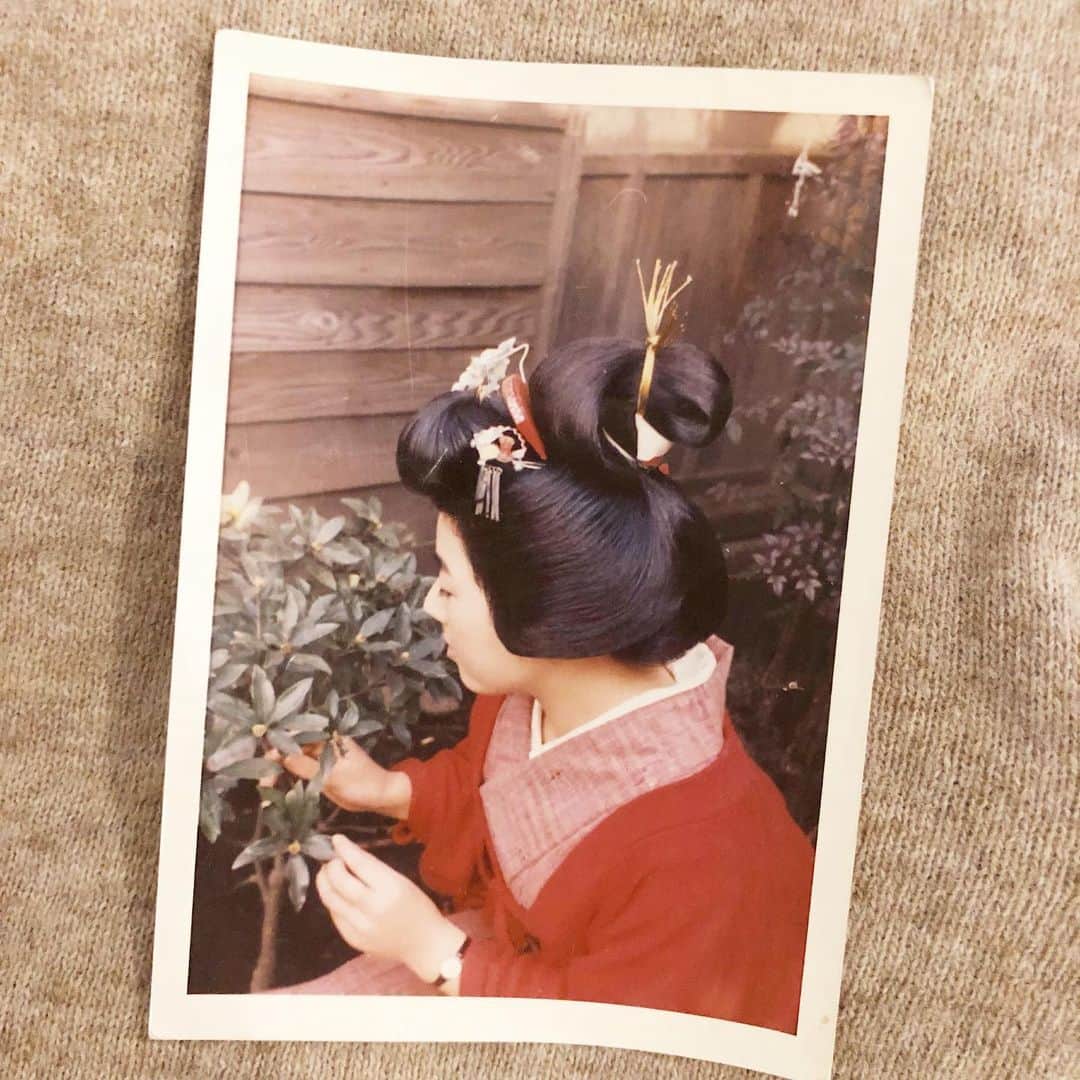 裕木奈江さんのインスタグラム写真 - (裕木奈江Instagram)「髪結い／着付けをしていた祖母のお仕事写真、その② 「弟子に入っていて習っていた頃は、夢に髪を結う手順が出てきてね。ああ、あそこはどうなってるんだっけ?て夢の中でも悩んでたわ」と言っていました。 #和髪 #髪結い #着付け #祖母 #kimono」10月17日 22時30分 - nae_yuuki