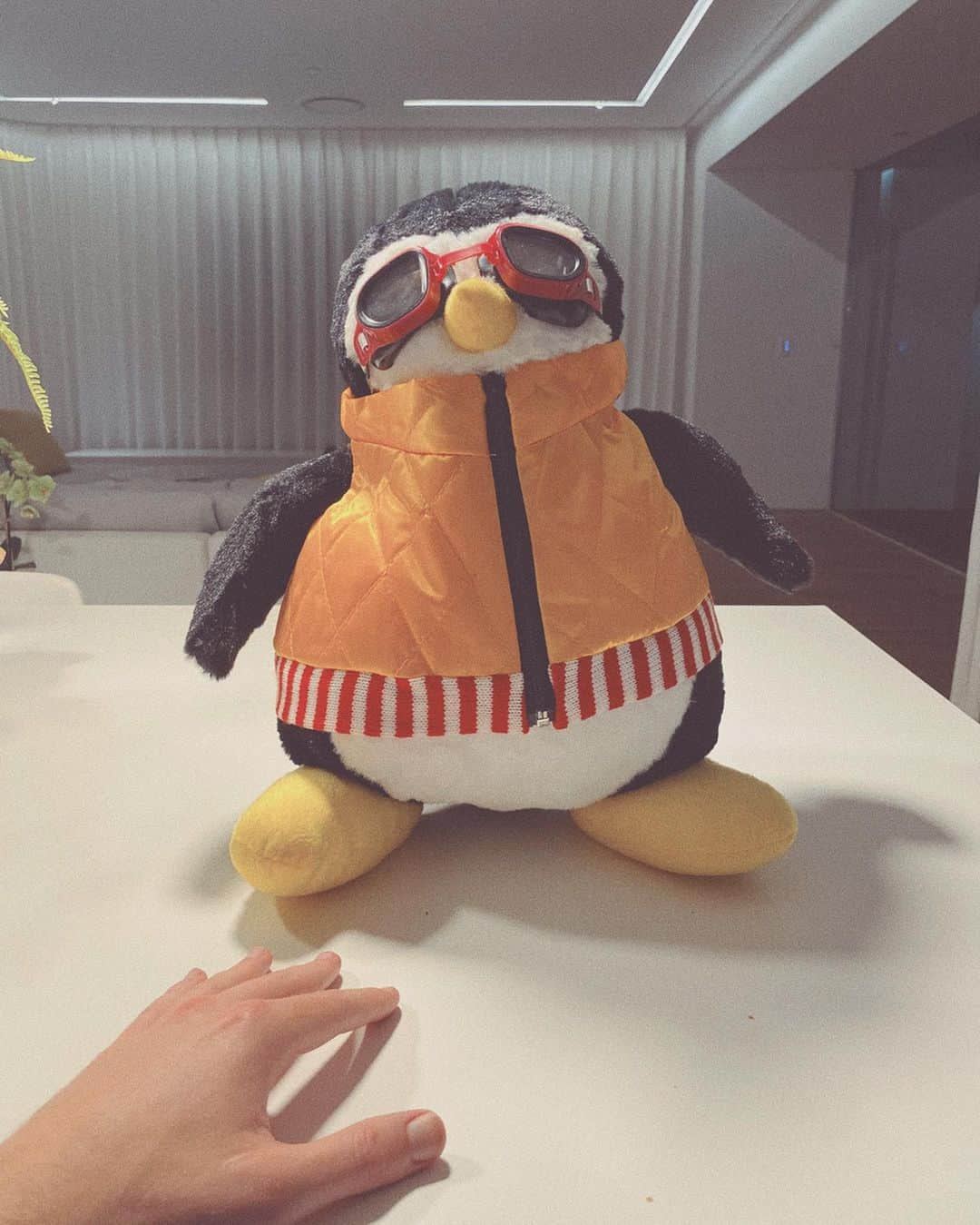 チャーリー・プースさんのインスタグラム写真 - (チャーリー・プースInstagram)「Thank you @jenniferaniston and @theellenshow for giving me my very own Hugsy, my bedtime penguin pal!」10月17日 23時15分 - charlieputh