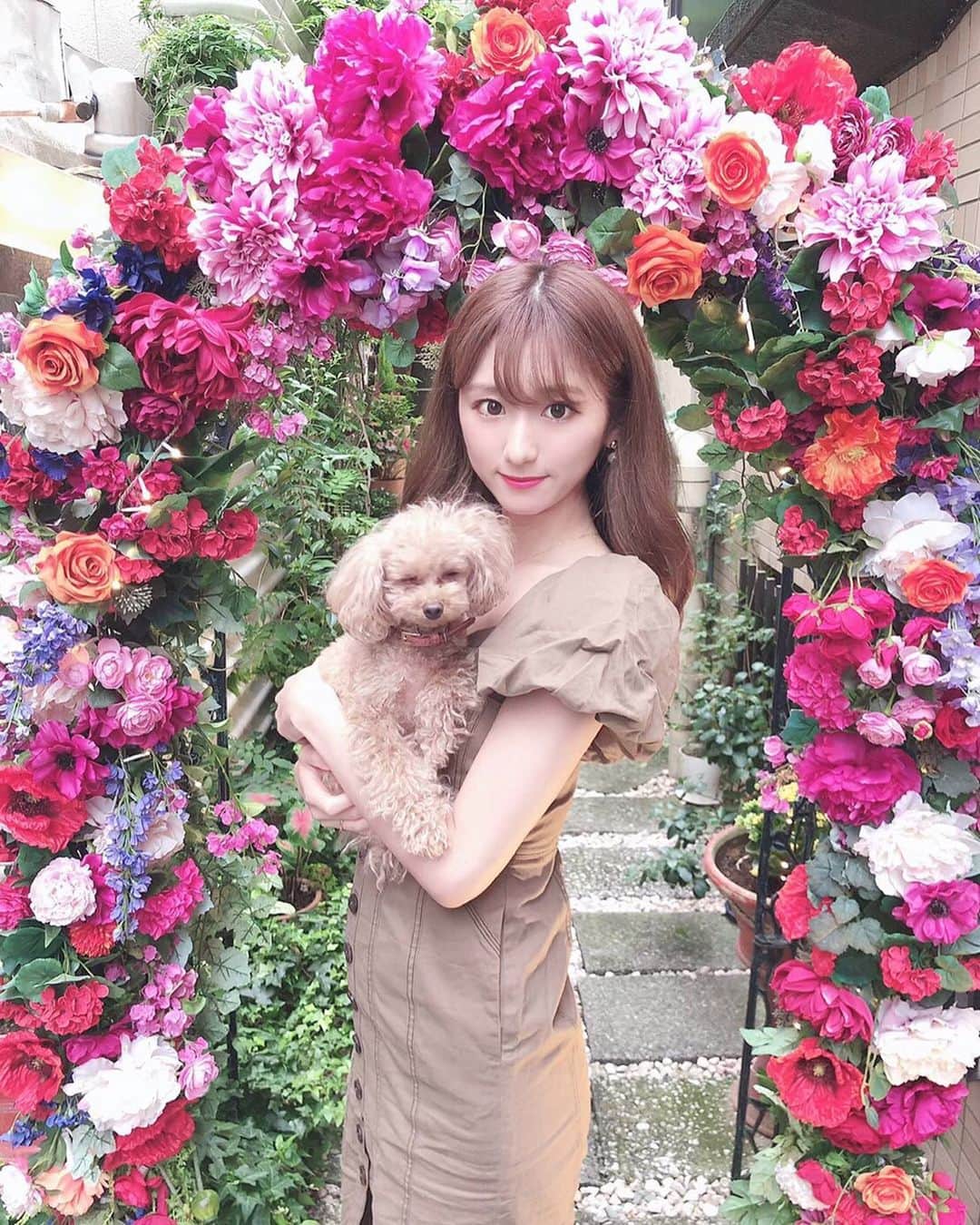 阿比留李帆のインスタグラム：「シェリとのおでかけがだいすき🐩🐕💕 #シェリ寝ないで #😭」