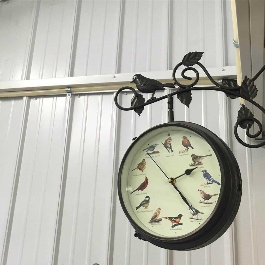 アウル・シティーのインスタグラム：「This is my bird clock. It sings every hour. I love my bird clock. A haiku for my bird clock: 🕰 The feathers will fly I tick, but don’t always talk  My, look at the time!」