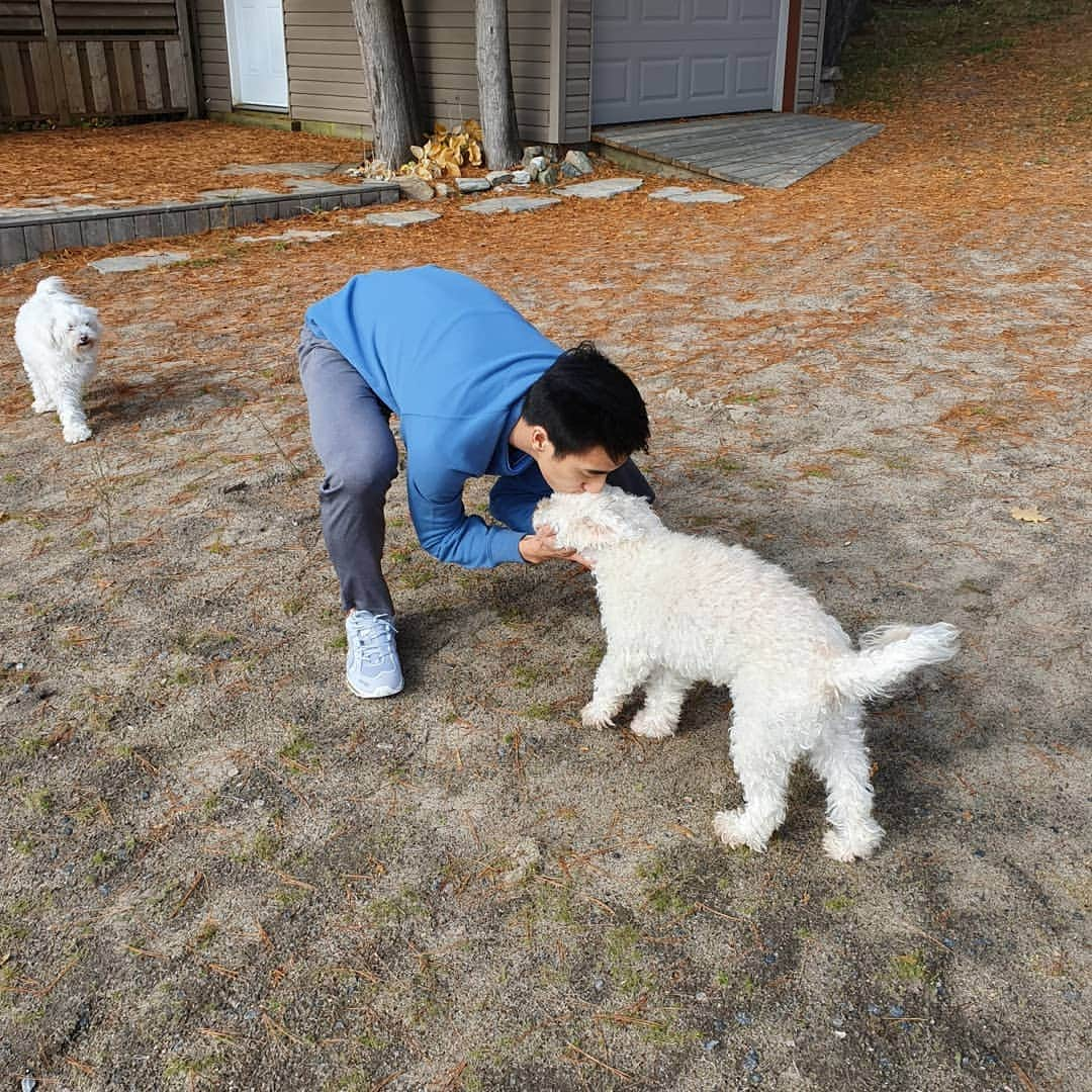 ジュリアン志傑乙さんのインスタグラム写真 - (ジュリアン志傑乙Instagram)「Fluffy buddies! 🐶 (🦁,🎃,🧞,🛎a) . . . . . . . . . . . . . . #dogs #pets #doggies #doggo #loveem #uniqlo #asics #asicsmy #asicsmalaysia #uniqlomy #fun #cute #fluffy #furry #figureoutthenames」10月18日 0時52分 - julianyeeee