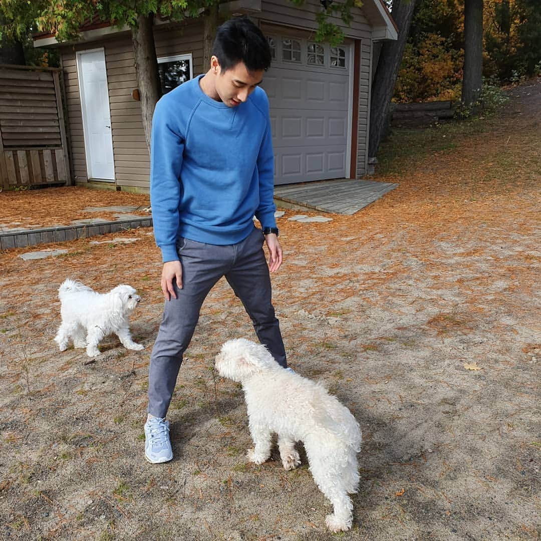 ジュリアン志傑乙さんのインスタグラム写真 - (ジュリアン志傑乙Instagram)「Fluffy buddies! 🐶 (🦁,🎃,🧞,🛎a) . . . . . . . . . . . . . . #dogs #pets #doggies #doggo #loveem #uniqlo #asics #asicsmy #asicsmalaysia #uniqlomy #fun #cute #fluffy #furry #figureoutthenames」10月18日 0時52分 - julianyeeee