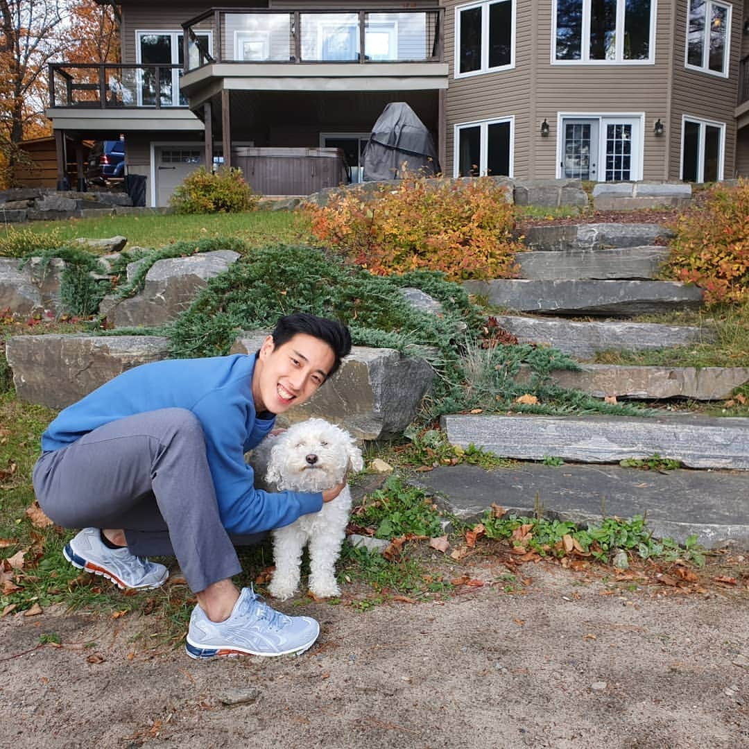 ジュリアン志傑乙さんのインスタグラム写真 - (ジュリアン志傑乙Instagram)「Fluffy buddies! 🐶 (🦁,🎃,🧞,🛎a) . . . . . . . . . . . . . . #dogs #pets #doggies #doggo #loveem #uniqlo #asics #asicsmy #asicsmalaysia #uniqlomy #fun #cute #fluffy #furry #figureoutthenames」10月18日 0時52分 - julianyeeee