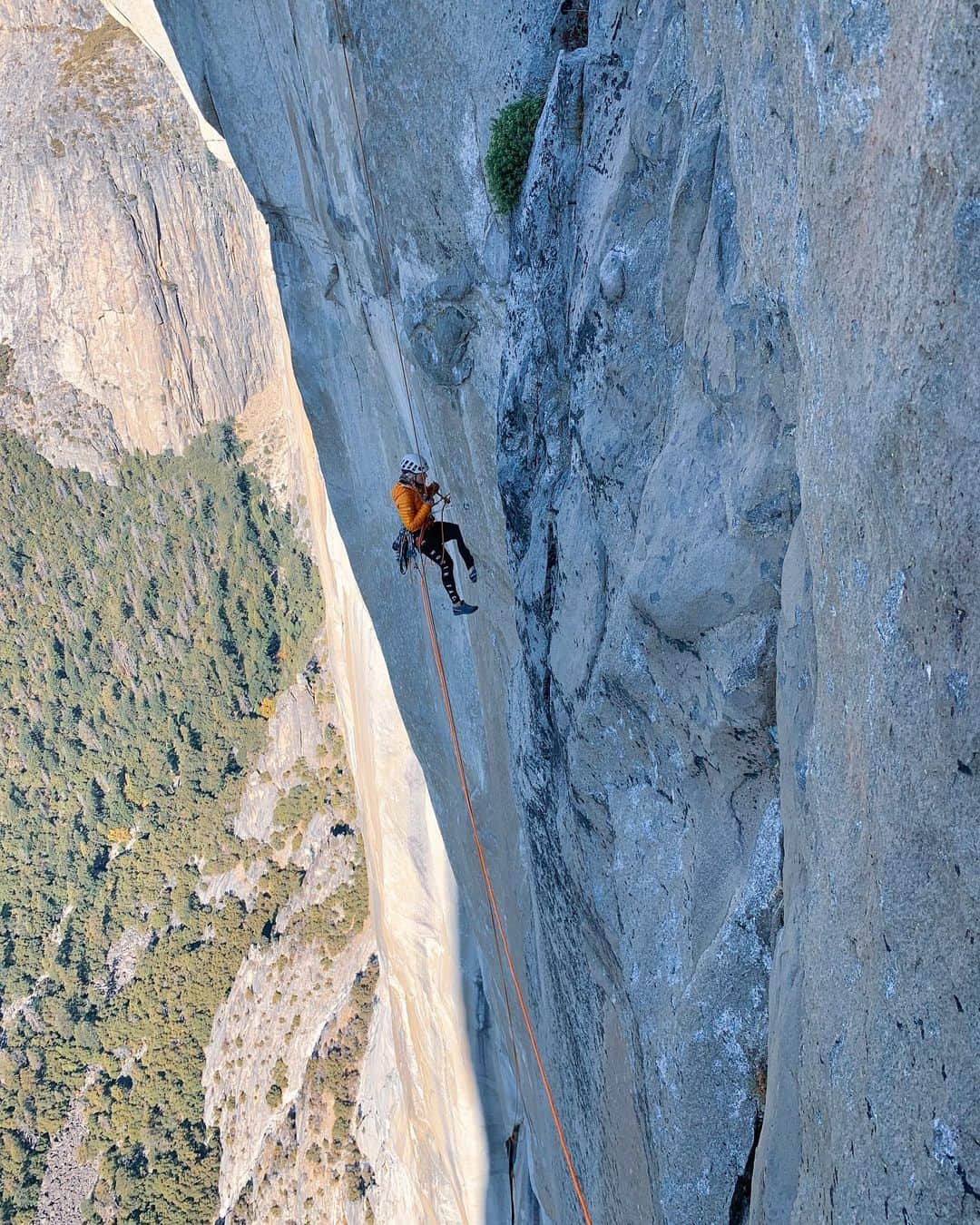 エミリー・ハリントンのインスタグラム：「Rapping, jugging, aiding, crying, taking, offwidthing, being scared-ing, laughing, struggling, smearing, oh and perhaps a wee bit of actual climbing....week one in the Valley this season was eventful as always. So far I’ve revisited about 70% of Golden Gate, climbed some routes I’d never done before (The Rostrum - 10/10 recommend), survived another trip up The Monster, taken zero showers, and lost my chalk bag into the abyss of the Hollow Flake 🙃. Also @adrianballinger is the best partner ever 🥰 // @lasportivana // @petzl_official」
