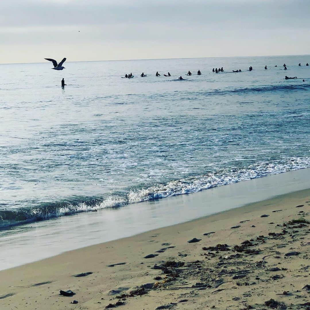 クラーク・グレッグのインスタグラム：「Jumping into the lineup... #surf」
