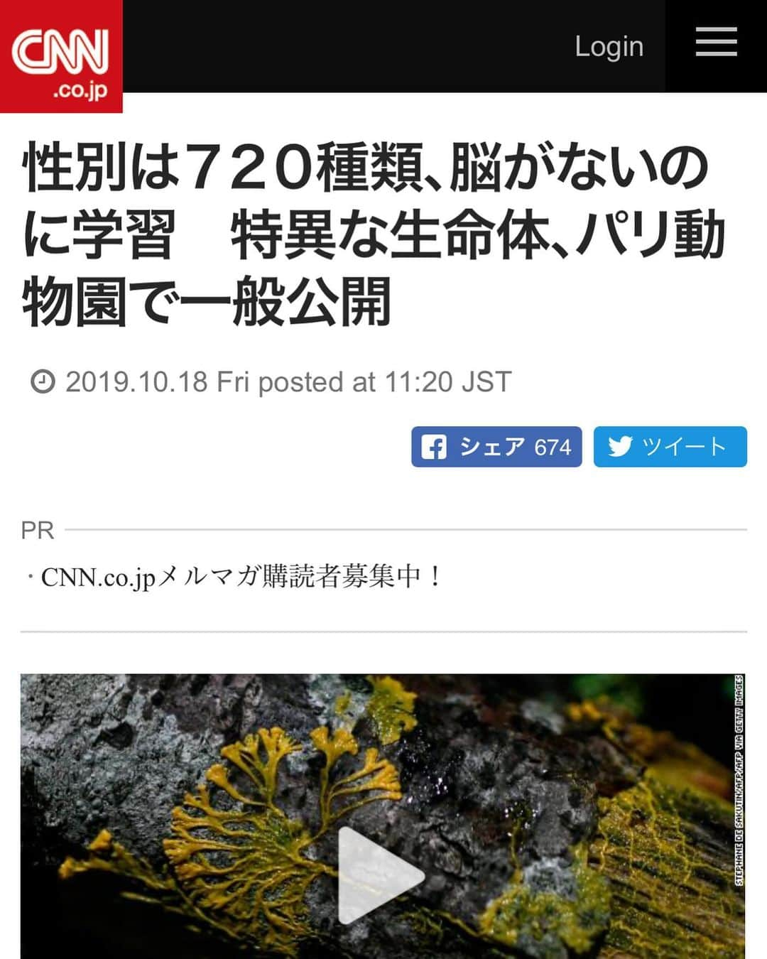 藤原ヒロシさんのインスタグラム写真 - (藤原ヒロシInstagram)「そして原始的ニュース。 CNNが虚構新聞みたい。 食材として、どこかのレストランのお皿に乗りそう。」10月18日 15時18分 - fujiwarahiroshi