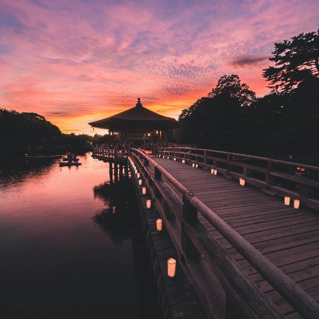 関西電力株式会社さんのインスタグラム写真 - (関西電力株式会社Instagram)「奈良市内に広大な敷地を持つ奈良公園の中、鷺池(さぎいけ)に浮かぶ檜皮葺(ひわだぶき)が特徴の「浮見堂」。 昼は池の周辺の景色と、夜は池に灯りをともして浮かぶ小舟のような美しさで訪れる人々の心を癒します。 風が少ない日には、池が鏡のように反射する姿も楽しむことができます。 ※写真は2019年8月の「なら燈花会」の際に撮影したものです。 . --------------- ■アクセス JR奈良駅、近鉄奈良駅 市内循環バス「春日大社表参道」下車 徒歩5分 --------------- .  #なら燈花会 #キャンドル#秋だけど#夏の思い出 #夏の風物詩 #奈良県景観資産 #奈良 #奈良公園#わたしは奈良派  #なら燈花会2019 #浮見堂 #絶景 #love_bestjapan #unknownjapan #loves_united_japan #カメラのある生活 #日本の風景  #ダレカニミセタイケシキ #bestphoto_japan #art_of_japan_#貴重な体験 #景色最高  #tripgramjp #写真は心のシャッター #その旅に物語を#best_moments_shots #日帰り旅行 #お写んぽ#お写ん歩 #インスタスポット」10月18日 15時16分 - kanden.jp