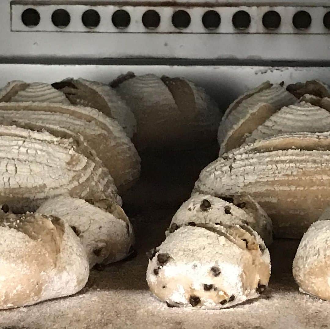 魔女菅原のグルメインスタ