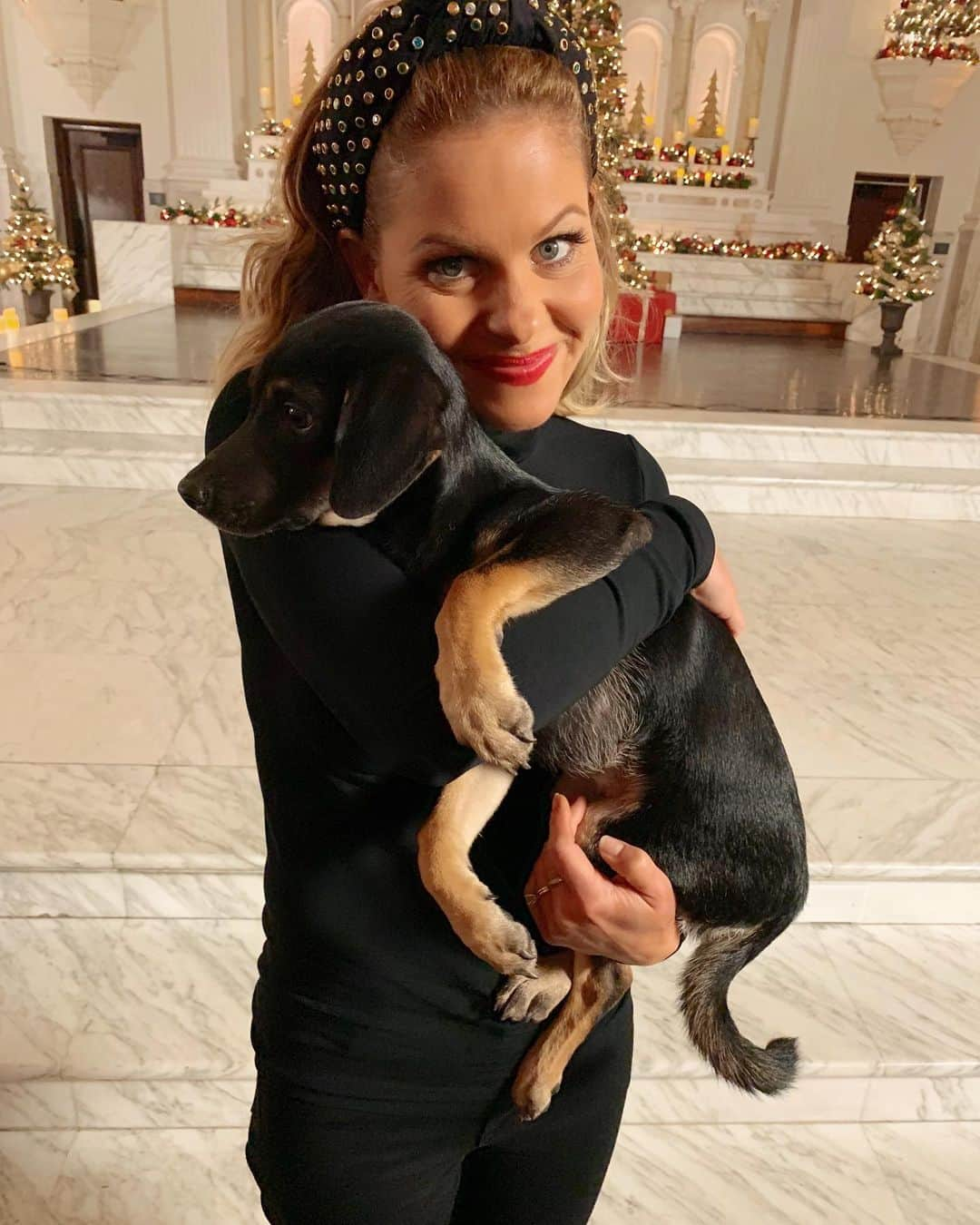 キャンディス・キャメロン・ブレさんのインスタグラム写真 - (キャンディス・キャメロン・ブレInstagram)「What you see :: me, posting a puppy to persuade you to watch my Miracles of Christmas Preview Special this MONDAY OCT 21st at 10pm/9c on @hallmarkmovie  What’s really happening :: me, finding absolutely ANY reason to post this photo 🐶😍❤️💚」10月18日 7時11分 - candacecbure