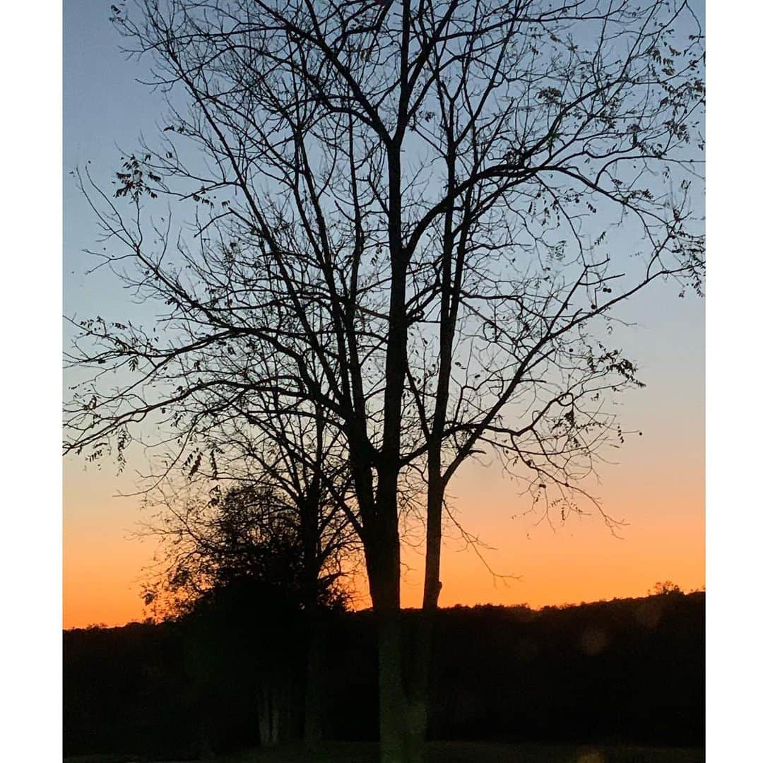 ヨランダ・ハディッドさんのインスタグラム写真 - (ヨランダ・ハディッドInstagram)「❤️Falling into the sunset...... #FallColors #EastCoastBeauty #FarmLife」10月18日 7時26分 - yolanda.hadid
