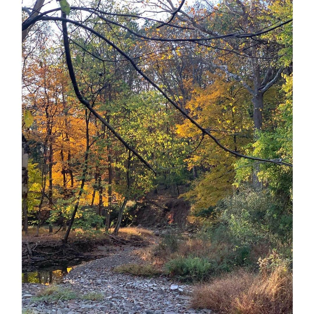 ヨランダ・ハディッドさんのインスタグラム写真 - (ヨランダ・ハディッドInstagram)「❤️Falling into the sunset...... #FallColors #EastCoastBeauty #FarmLife」10月18日 7時26分 - yolanda.hadid