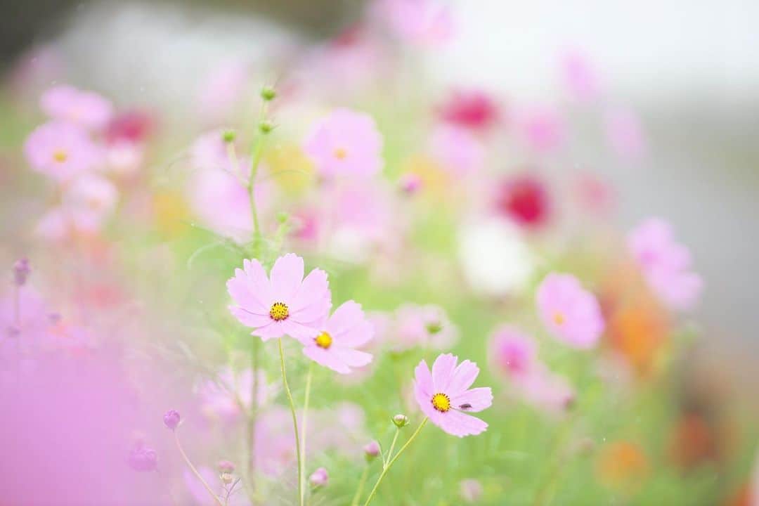 kiccyomuのグルメインスタ