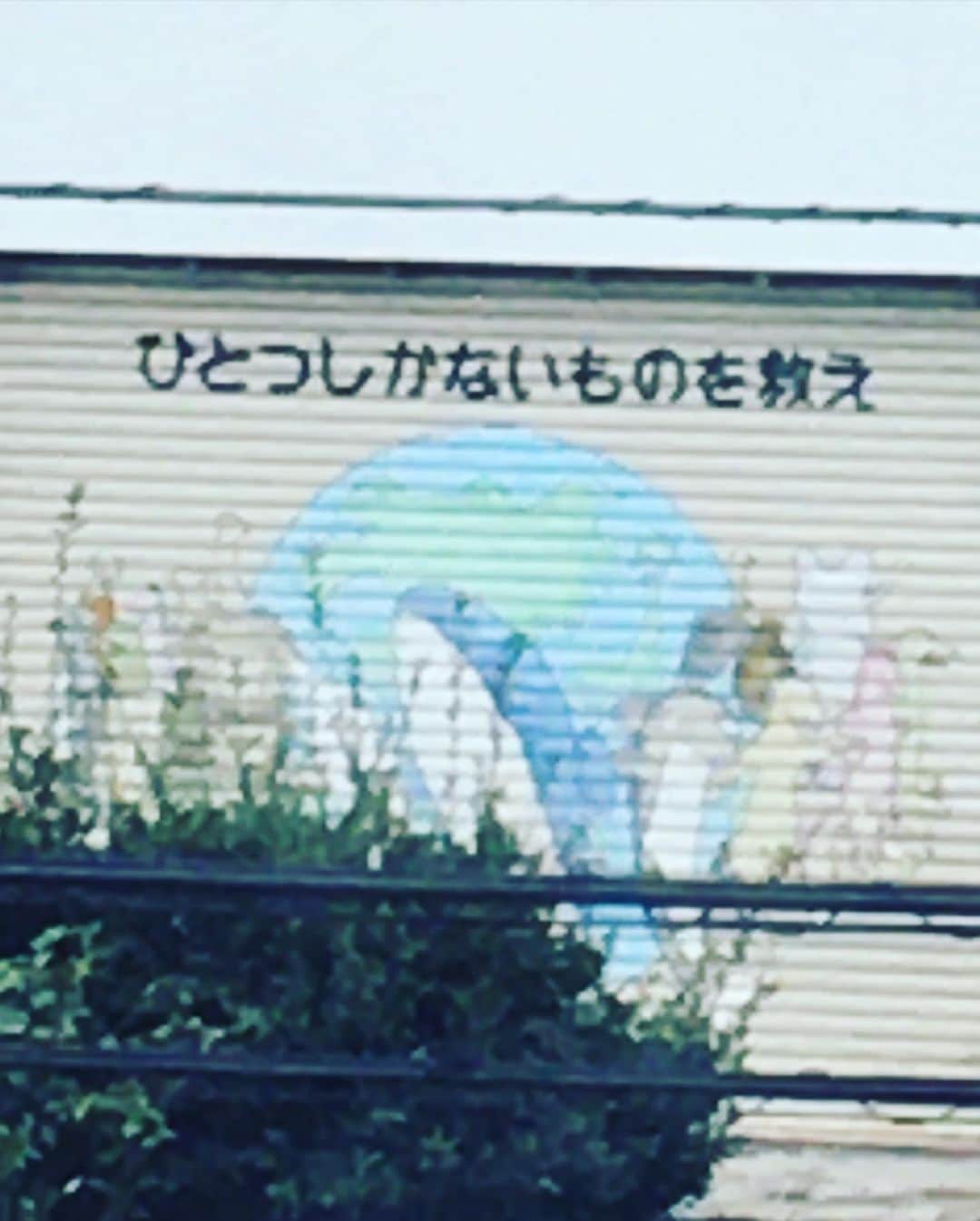 猫沢エミさんのインスタグラム写真 - (猫沢エミInstagram)「新幹線で大阪に向かっています。  イオの鼻血をとても心配しながら。  あ…あれ。  なにかの啓示でしょうか。  #田舎の道々にときどきついてる聖書の教え的な目に入ると途端に意味を持つような気がする感覚」10月18日 9時51分 - necozawaemi