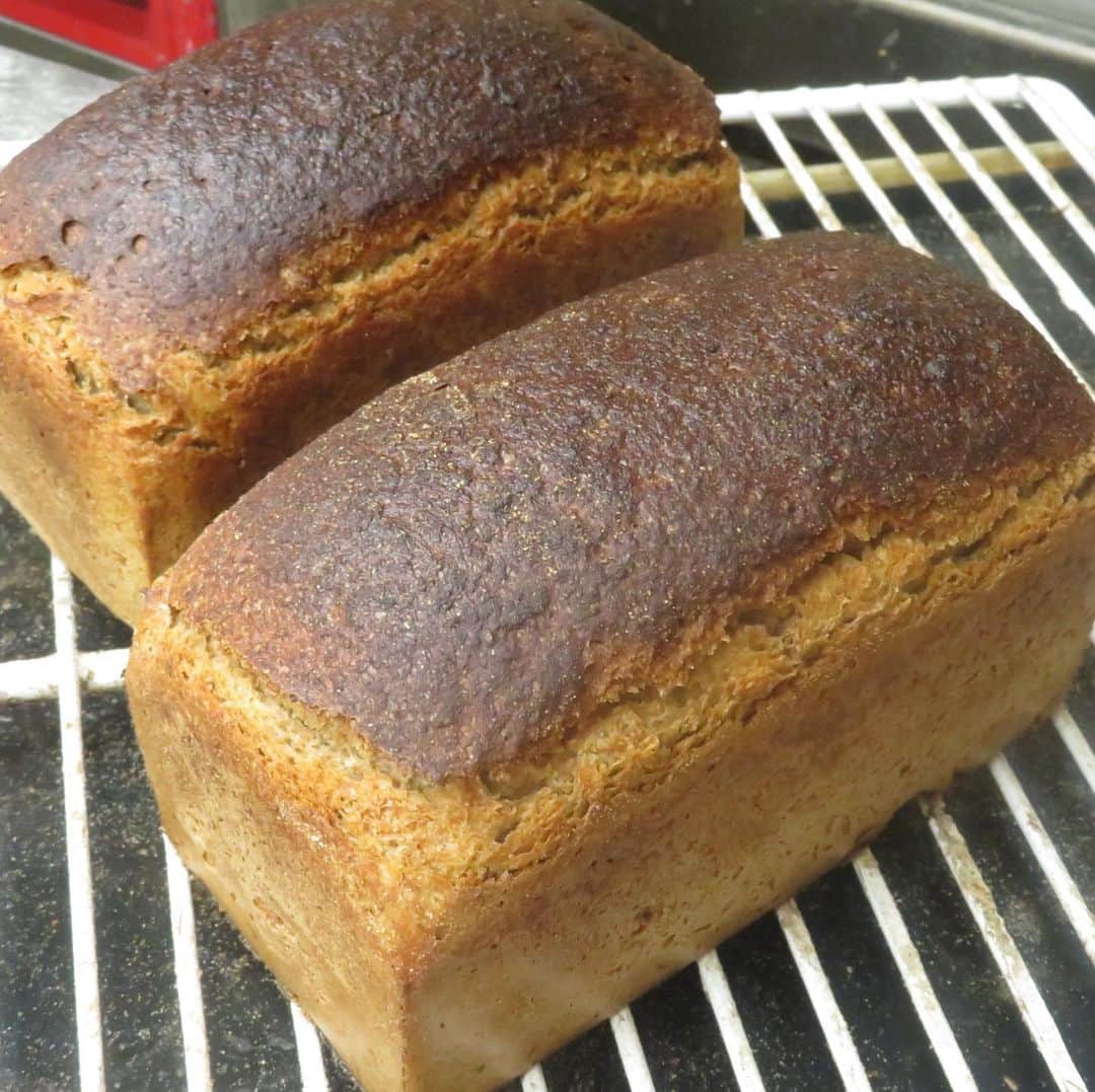 魔女菅原のグルメインスタ