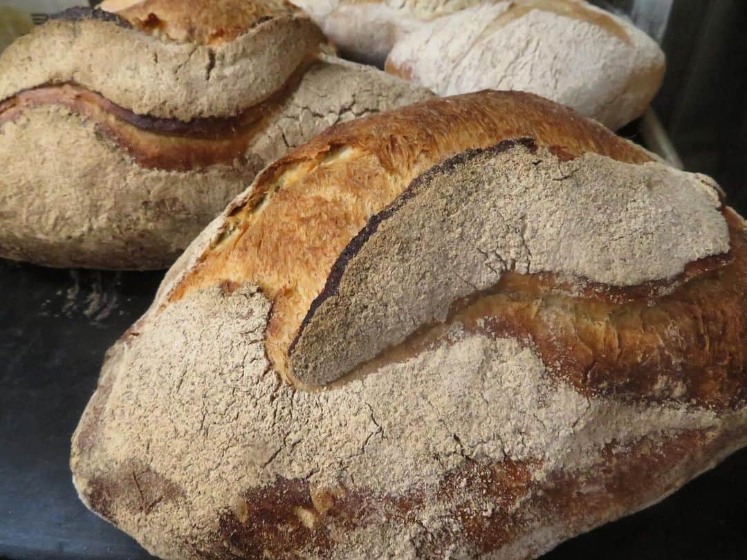 魔女菅原のグルメインスタ