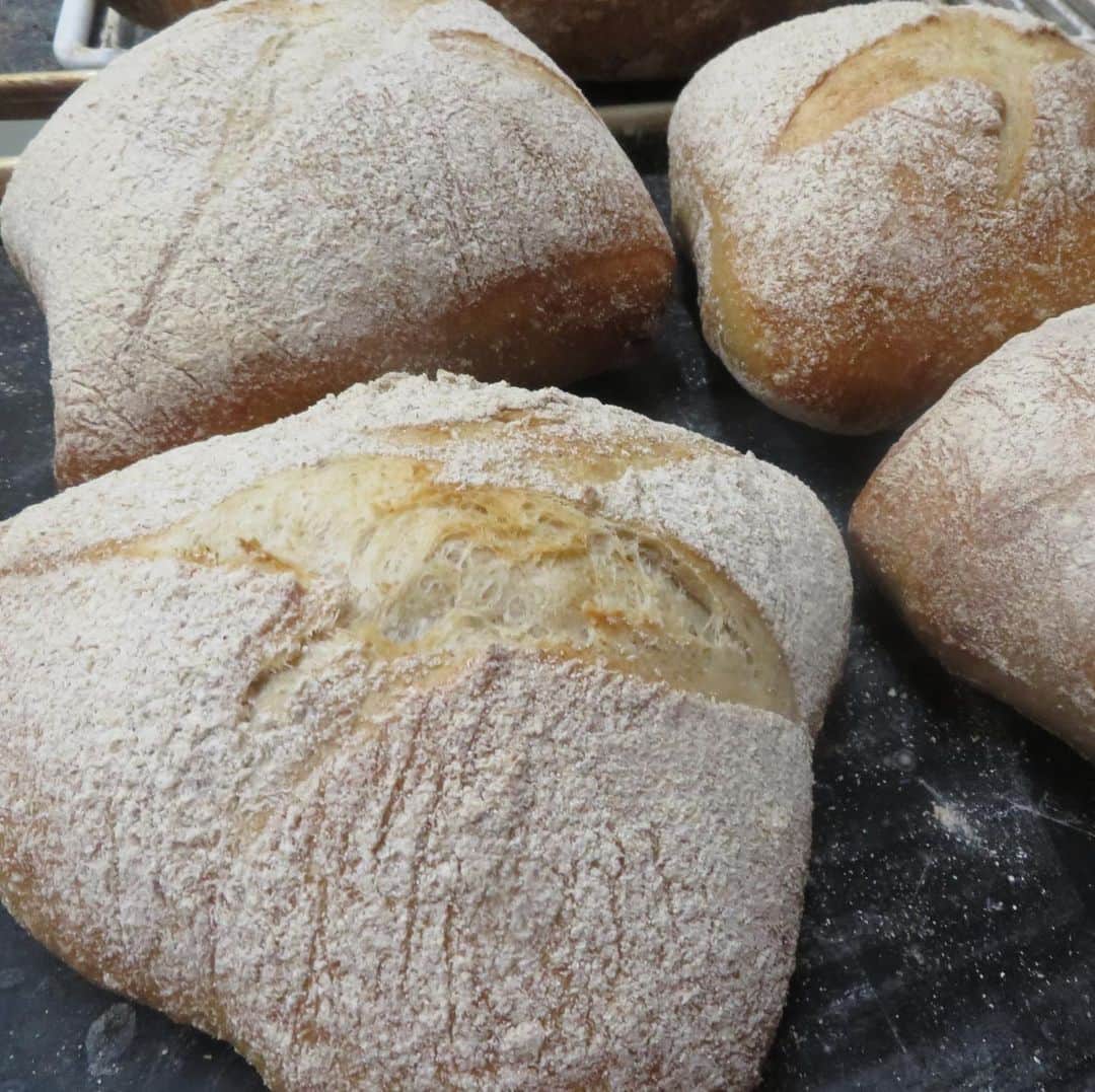 魔女菅原のグルメインスタ