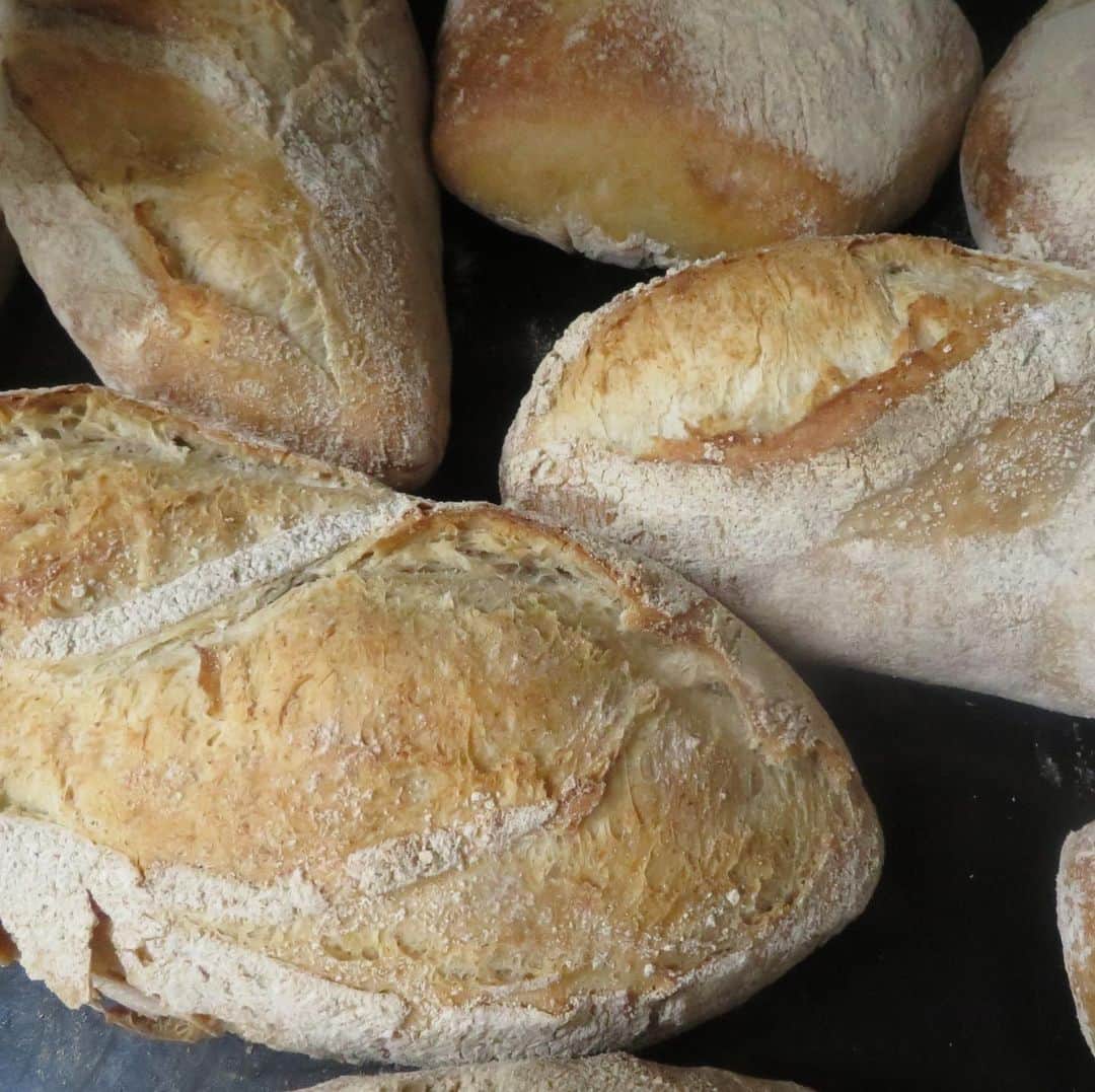 魔女菅原のグルメインスタ