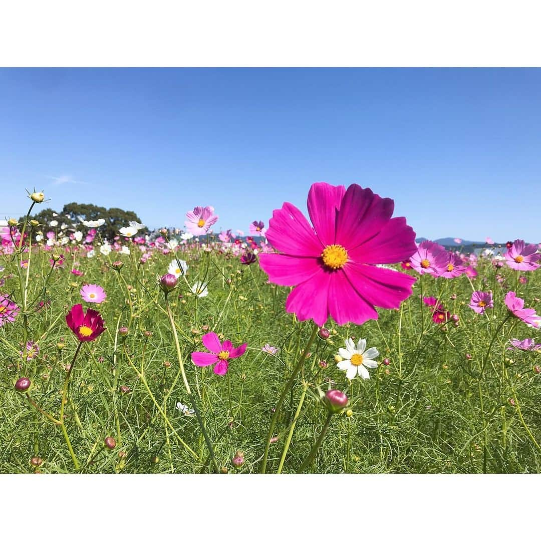 小野口奈々のインスタグラム