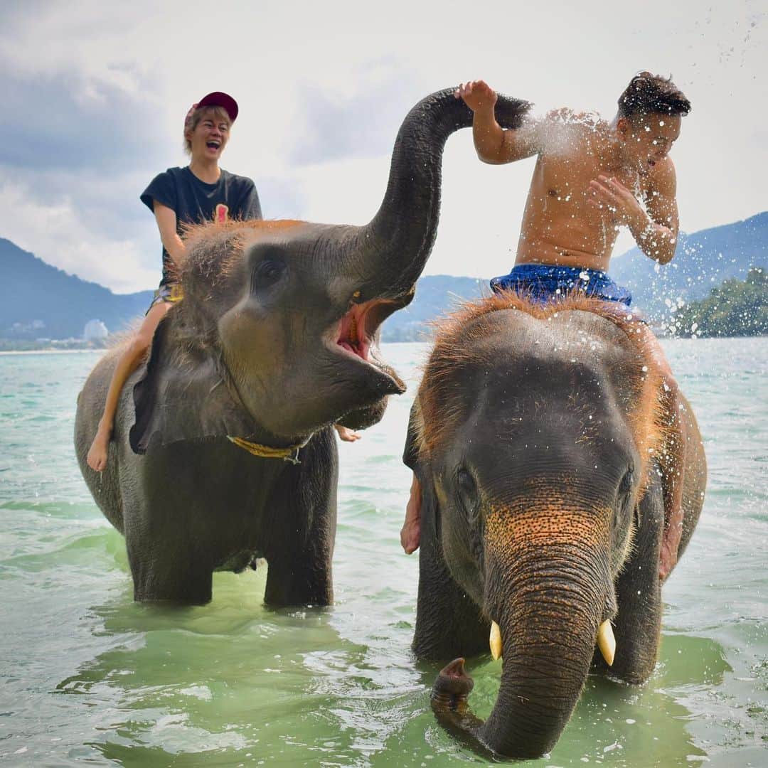 春木開さんのインスタグラム写真 - (春木開Instagram)「ぞうさんとみずあび🐘🐘﻿ ﻿ ﻿ #thai #thailand #🇹🇭﻿ #phuket #elepant﻿ #結婚式は白馬か象に乗って登場したい」10月18日 13時34分 - haruki.kai