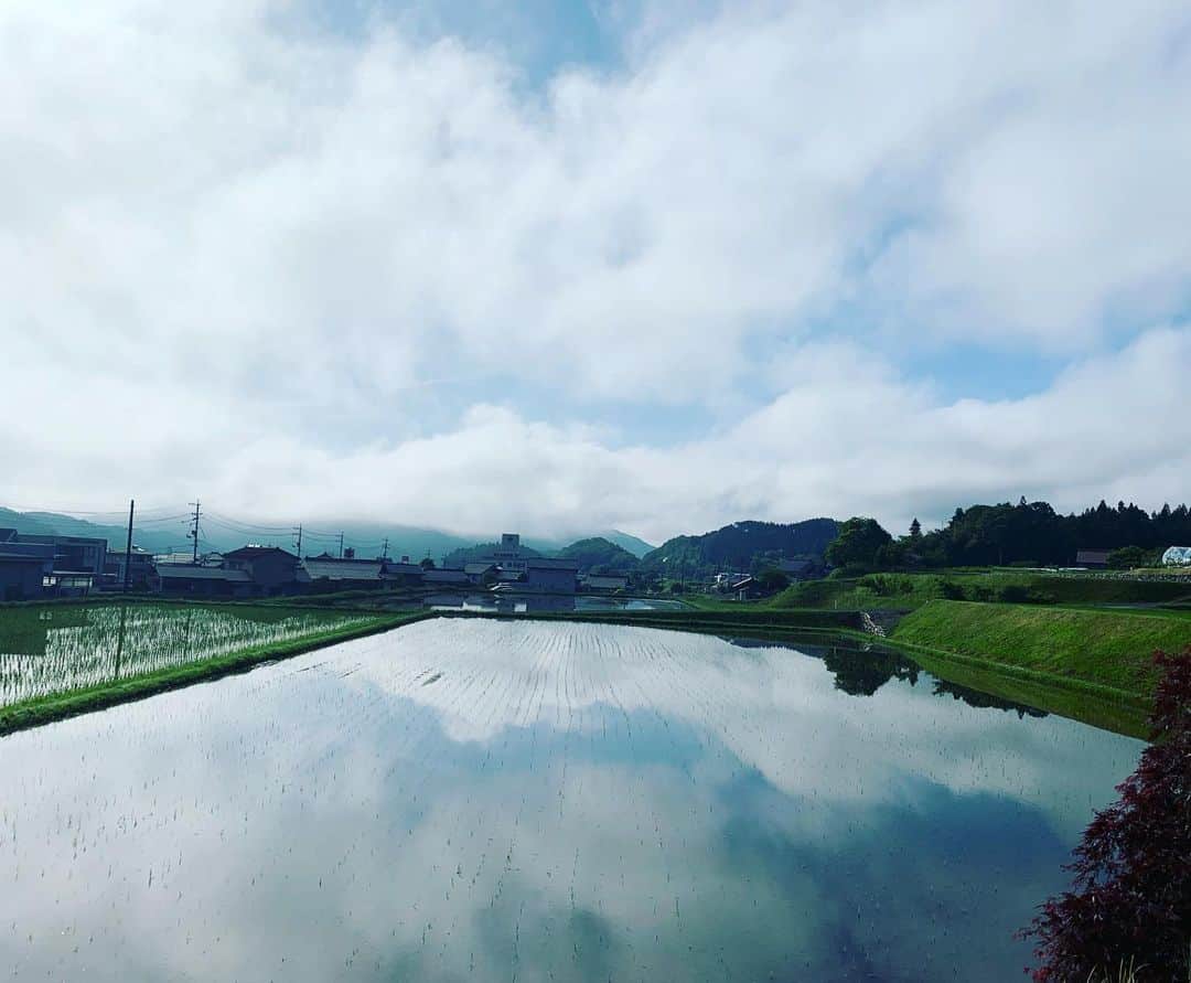 小椿希美のインスタグラム：「・ 大好きな田舎広島の景色です。 ・ 台風19号の影響で 大切な人がたくさんいる 長野県が甚大な被害を受けました。 同じタイミングで 大好きなおばあちゃんが 息を引き取りました。 ・ 自然災害でも病気でも 日常に当たり前にあった 風景や人が突然なくなるのは 心がついていきませんね。 ・ 台風19号で被災した方に 心よりお見舞い申し上げます。 私も気持ちを強く持って 自分に何が出来るか考えながら ニュースを伝えていきます。 ・ 10月16日に長野市内で予定していた ツルヤと味の素共同企画の 『勝ち飯料理教室と 瀬戸 優佳さんトークショー』は 中止になりました。 一日も早く平穏な日常が戻ってきますように。 ・ #台風19号#災害報道#がんばろう長野」