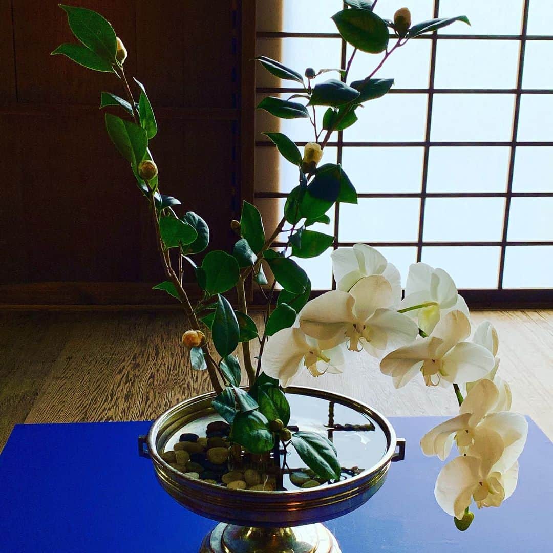 相川七瀬のグルメインスタ