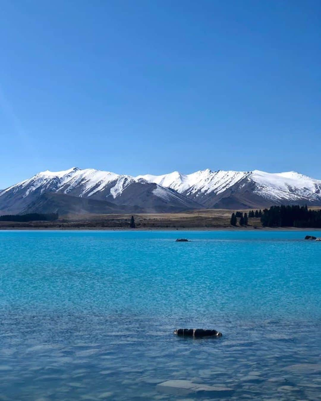 朝日放送「朝だ！生です旅サラダ」さんのインスタグラム写真 - (朝日放送「朝だ！生です旅サラダ」Instagram)「@maipu0125  この旅で感動した景色のひとつが、#レイクテカポ ‼︎ 以前雑誌で見てから一度行ってみたい場所のひとつだったんですが、実際に行ってみると予想以上の綺麗さ！遠くに見える #サザンアルプス 、乳白色な湖は太陽の光が輝いてまるで宝石を散りばめたようにキラキラと…別世界にいるようで、本当に美しかったです💎 _ #別世界 #キラキラ #幻想的 #空色の湖 #美しい湖 #大自然 #一度は行ってみたい場所 #LakeTekapo #ニュージーランド #newZealand _ #ABCテレビ #朝日放送テレビ #朝だ生です旅サラダ #旅サラダ #旅サラダガールズ  #渡辺舞 #女優 #モデル  #生放送 #土曜 #朝8時 #海外 #旅 #travel #trip」10月18日 16時03分 - tabisalad