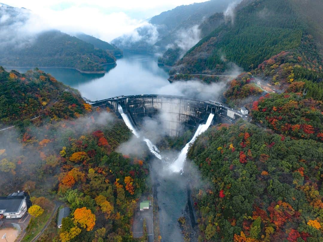 九州電力さんのインスタグラム写真 - (九州電力Instagram)「宮崎県には #日本初 のアーチ式ダムが🏞 . 宮崎県椎葉村にある #上椎葉ダム では、美しい紅葉や釣りが楽しめます🍁 . 📍上椎葉(かみしいば)ダム . 11/16（土）には、観光放流も開催されます！迫力ある放流は必見ですよ👀 詳しくは九州電力HPをご覧ください✨ . #九州電力 #kyuden #九電 #九州の灯り #九州ぐらむ #ファインダー越しの私の世界 #九州旅行 #九州 #九州愛 #kyushu #宮崎観光 #宮崎カメラ部 #秘境 #紅葉 #ダム巡り #hydroelectric #powerplant #miyazaki #ダムツーリング部 #紅葉狩り #ダム女 #ダムカード #水力発電所 #水力発電 #アーチ式ダム #椎葉村 #ダム #ダムマニア」10月18日 17時00分 - kyuden_official