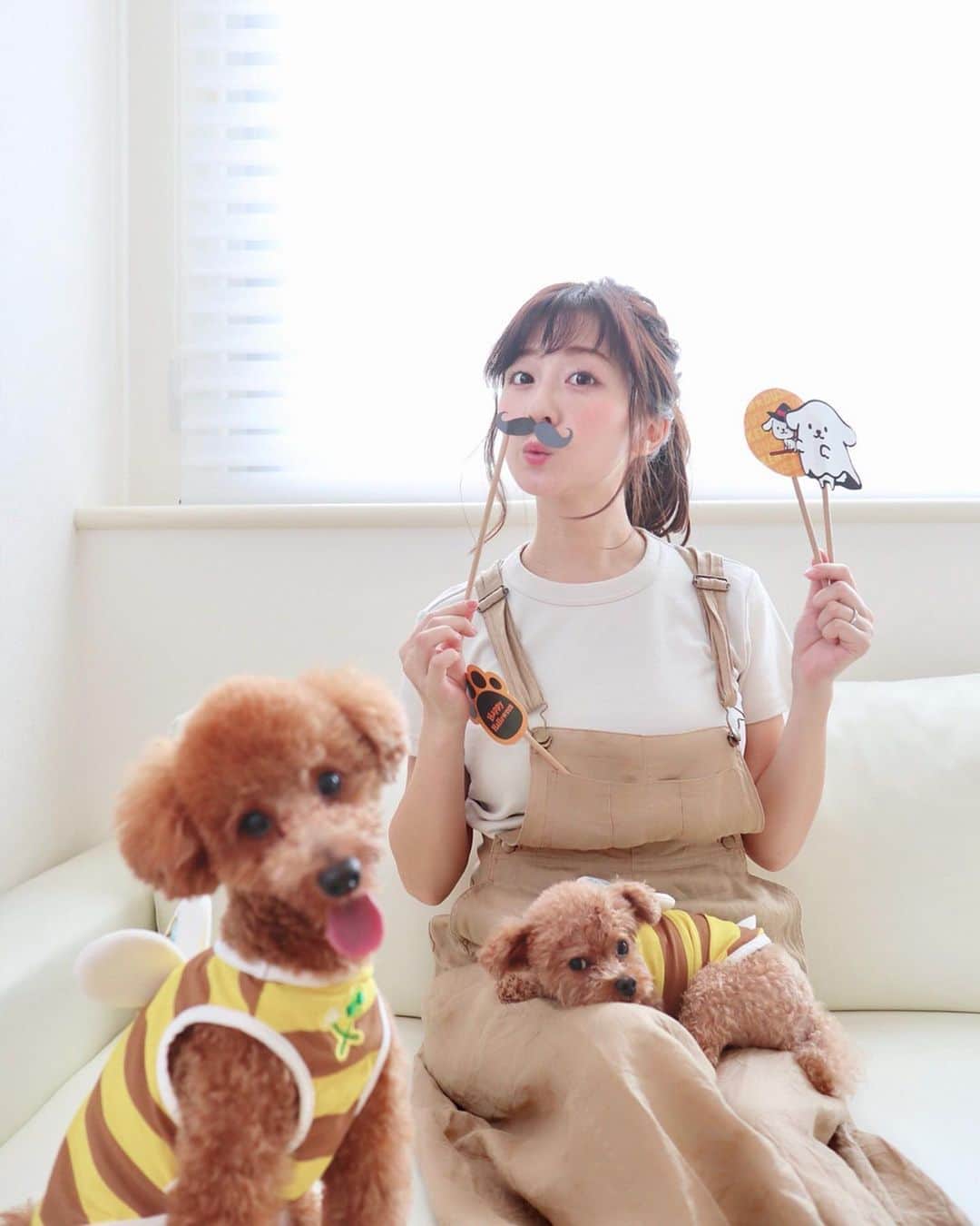 のインスタグラム：「・ もうすぐハロウィン🎃👻 みなさん準備は整ってますか？？ 私はダス犬のハロウィンプロップスを作ったよ🐶🧡💜 うちの子たちも みつばちさんになってパシャり📸🐝 ダスキンの公式キャラクターのダス犬🐶 特技は ふわふわのしっぽでお掃除❣️ 可愛いかよぅ🥺💕💕💕 公式アカウント✔︎ @dusken_official  季節に応じた工作が HPに豊富にあるので イベントごとに作りたくなっちゃうね❣️ ちなみに。 おもちの特技は バーン👉🏻 おはぎの特技は タッチ🙌🏻 お掃除はできないけれど 高速しっぽフリフリはお手の物です💪🏻❤️笑 #ダス犬 #ダスキン #工作 #PR」