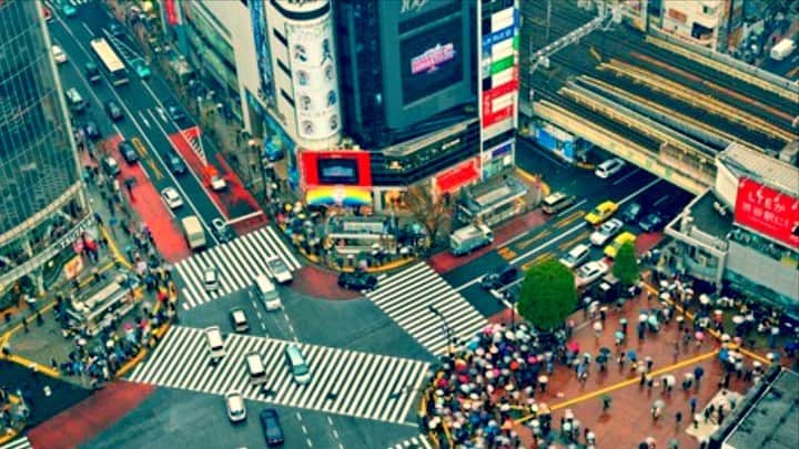 トニー・ジャーのインスタグラム：「Shibuya Hachikō Memorial .」