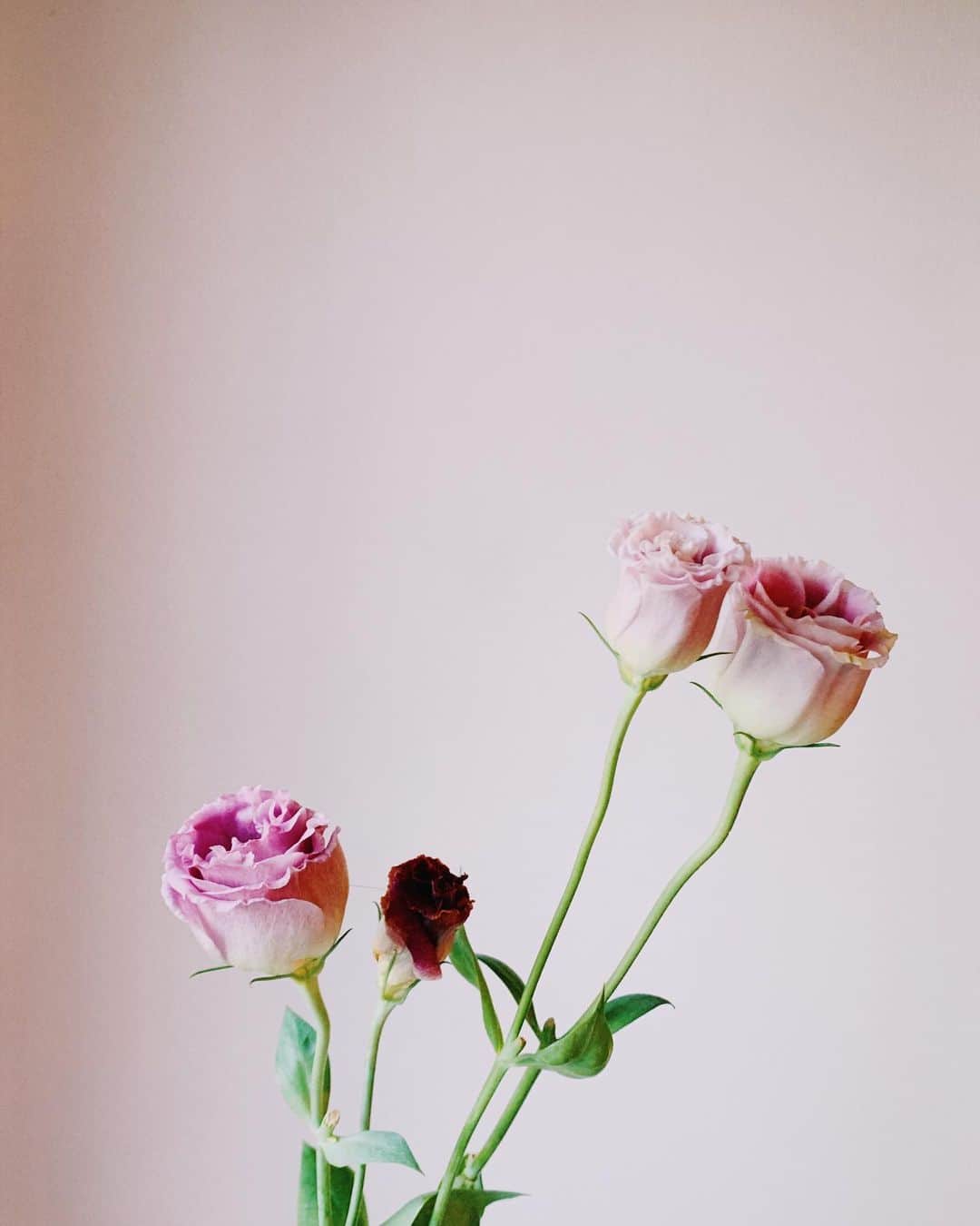 阿久津ゆりえのグルメインスタ