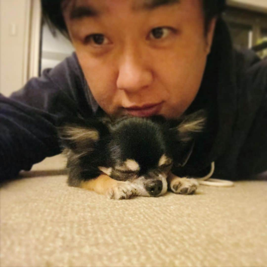 中倉隆道さんのインスタグラム写真 - (中倉隆道Instagram)「. ただいまの儀式🐶😍💕 . お留守番ありがと🙏 パパの過剰スキンシップに疲れて寝る子🐕🐾 . . #愛犬 #チワワ #わんこ #わんこのいる生活 #ただいま」10月18日 19時53分 - ryudo.tokyo