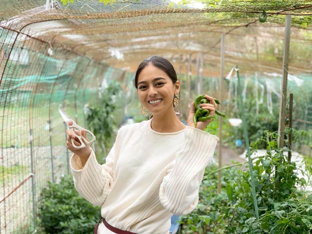 遊海 Yuumiさんのインスタグラム写真 - (遊海 YuumiInstagram)「Fresh vegetable from Garden 🥗❤️ experience the nature life @inaka_tourism @misugi_resort  #inakatourism #misugiresort #hinotanionsen #misugi #美杉　#若宮八幡宮　#美杉リゾート　#自然　#森林　#日本の文化　#misugiforest」10月18日 20時01分 - yuumi_kato