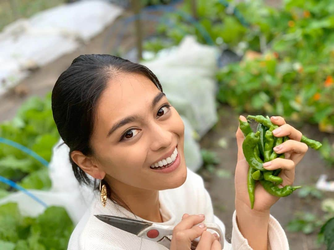 遊海 Yuumiさんのインスタグラム写真 - (遊海 YuumiInstagram)「Fresh vegetable from Garden 🥗❤️ experience the nature life @inaka_tourism @misugi_resort  #inakatourism #misugiresort #hinotanionsen #misugi #美杉　#若宮八幡宮　#美杉リゾート　#自然　#森林　#日本の文化　#misugiforest」10月18日 20時01分 - yuumi_kato