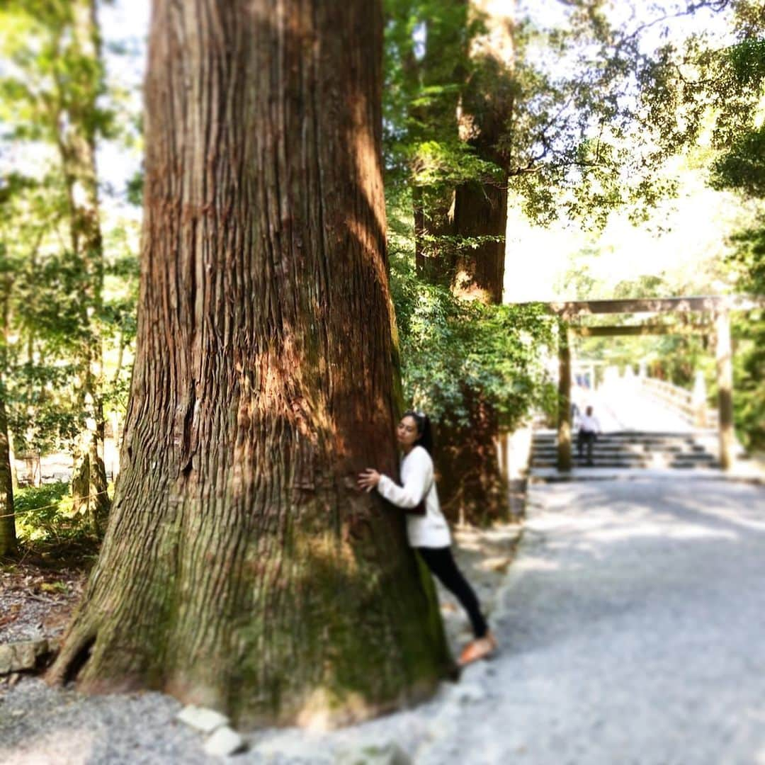 遊海 Yuumiさんのインスタグラム写真 - (遊海 YuumiInstagram)「Feel the tree in Ise Great Shrine ❤️ trees make me feel spritual ❤️伊勢神宮の木、スピリチャルな感覚です。 @visitmie @isejingu.official  #mie #visitmie #isejingu #isegreatshrine #伊勢　#伊勢神宮　#三重県」10月18日 20時34分 - yuumi_kato