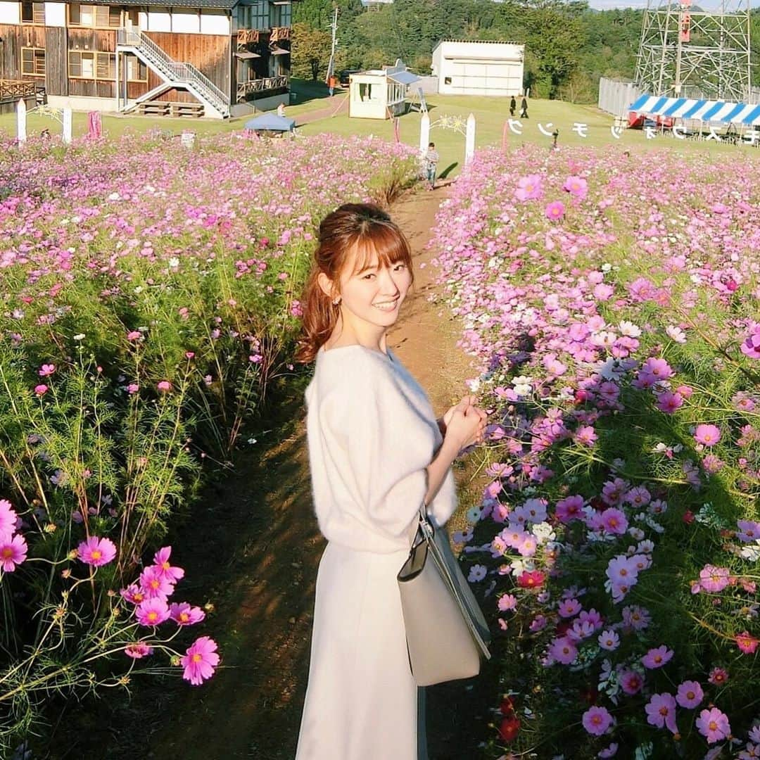 的場絢香さんのインスタグラム写真 - (的場絢香Instagram)「*﻿ ﻿ 秋の桜🌸﻿ ﻿ すっかり秋めいて﻿ ニットの季節ね🍁🍂﻿ ﻿ knit :﻿ #tomorrowland skirt :﻿ #unitedarrows bag :﻿ #giannichiarini (気まぐれで載せる私服☺︎)﻿ ﻿ ______________________________ #マトバ服 #私服 #コーデ  #コスモス #コスモス畑 #秋桜 #fashion #code #outfit」10月18日 20時46分 - ayaka_matoba