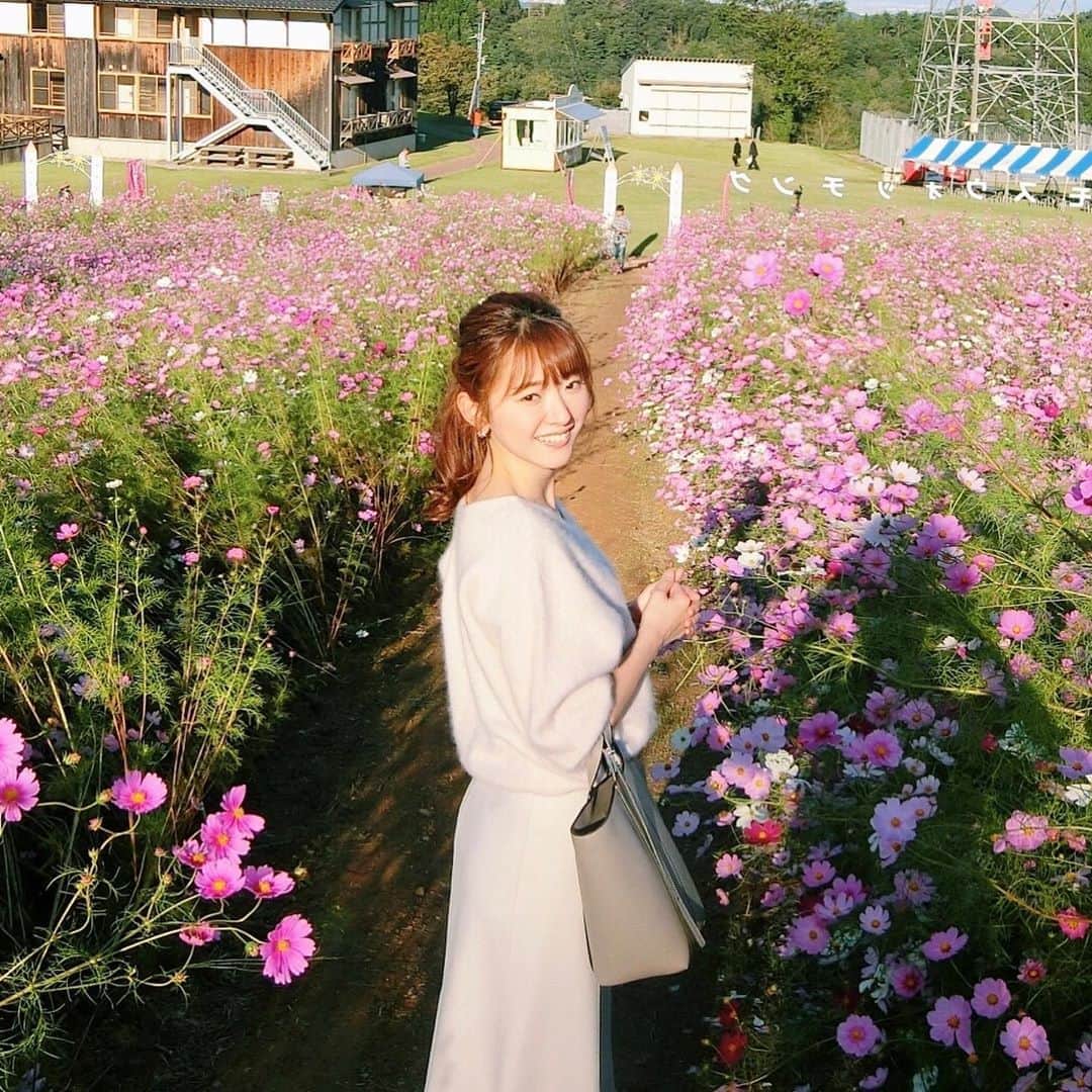 のインスタグラム：「*﻿ ﻿ 秋の桜🌸﻿ ﻿ すっかり秋めいて﻿ ニットの季節ね🍁🍂﻿ ﻿ knit :﻿ #tomorrowland skirt :﻿ #unitedarrows bag :﻿ #giannichiarini (気まぐれで載せる私服☺︎)﻿ ﻿ ______________________________ #マトバ服 #私服 #コーデ  #コスモス #コスモス畑 #秋桜 #fashion #code #outfit」