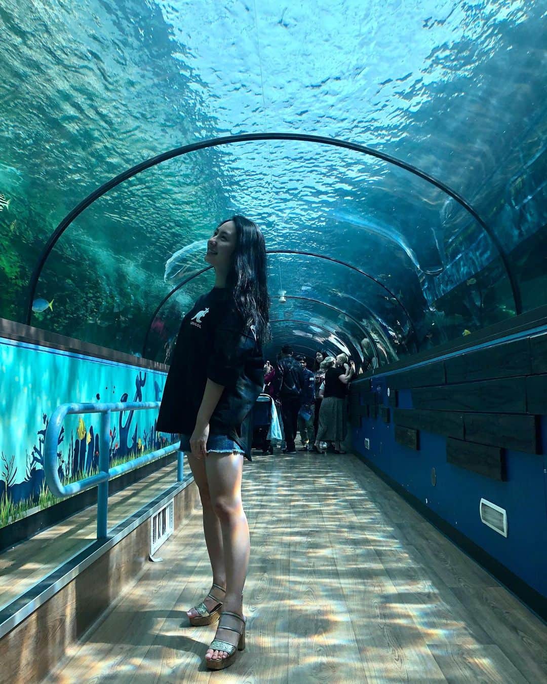 里彩さんのインスタグラム写真 - (里彩Instagram)「水族館って、いくつになっても好きだろうな🐧💕 ずっと見ていられるから不思議 #aquarium #sealifesydney #sydney  #水族館 #シドニー」10月18日 21時00分 - risa_gram611