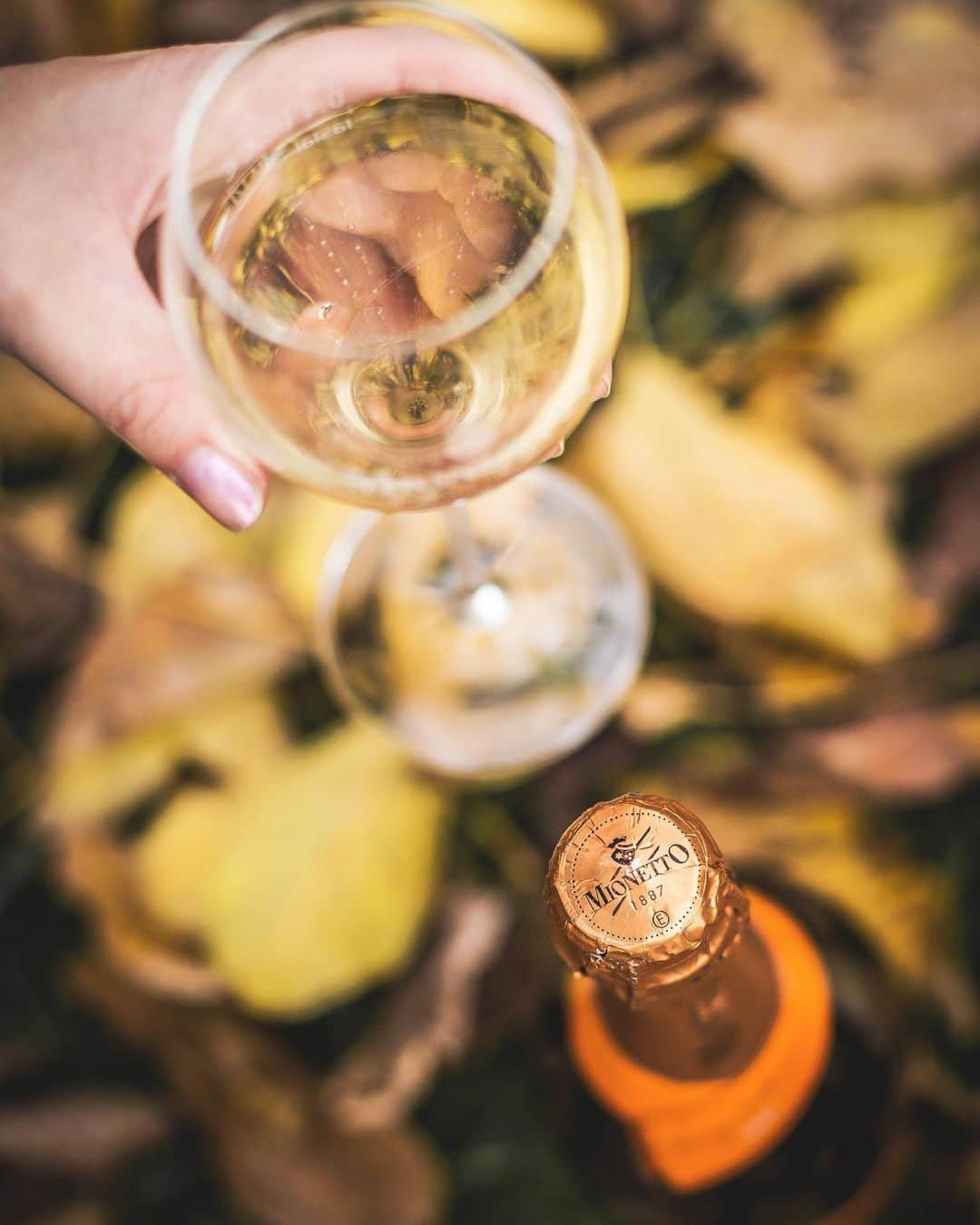 Mionetto Prosecco ČRさんのインスタグラム写真 - (Mionetto Prosecco ČRInstagram)「Koho by takový podzim nebavil? 🧡🍾☺️#mionetto #mionettoprosecco #september #fall2019  #goodvibes #proseccovibes」10月18日 21時13分 - mionetto_cz