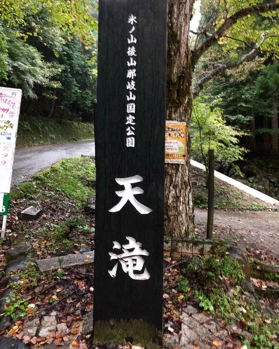 野嶋紗己子のグルメインスタ